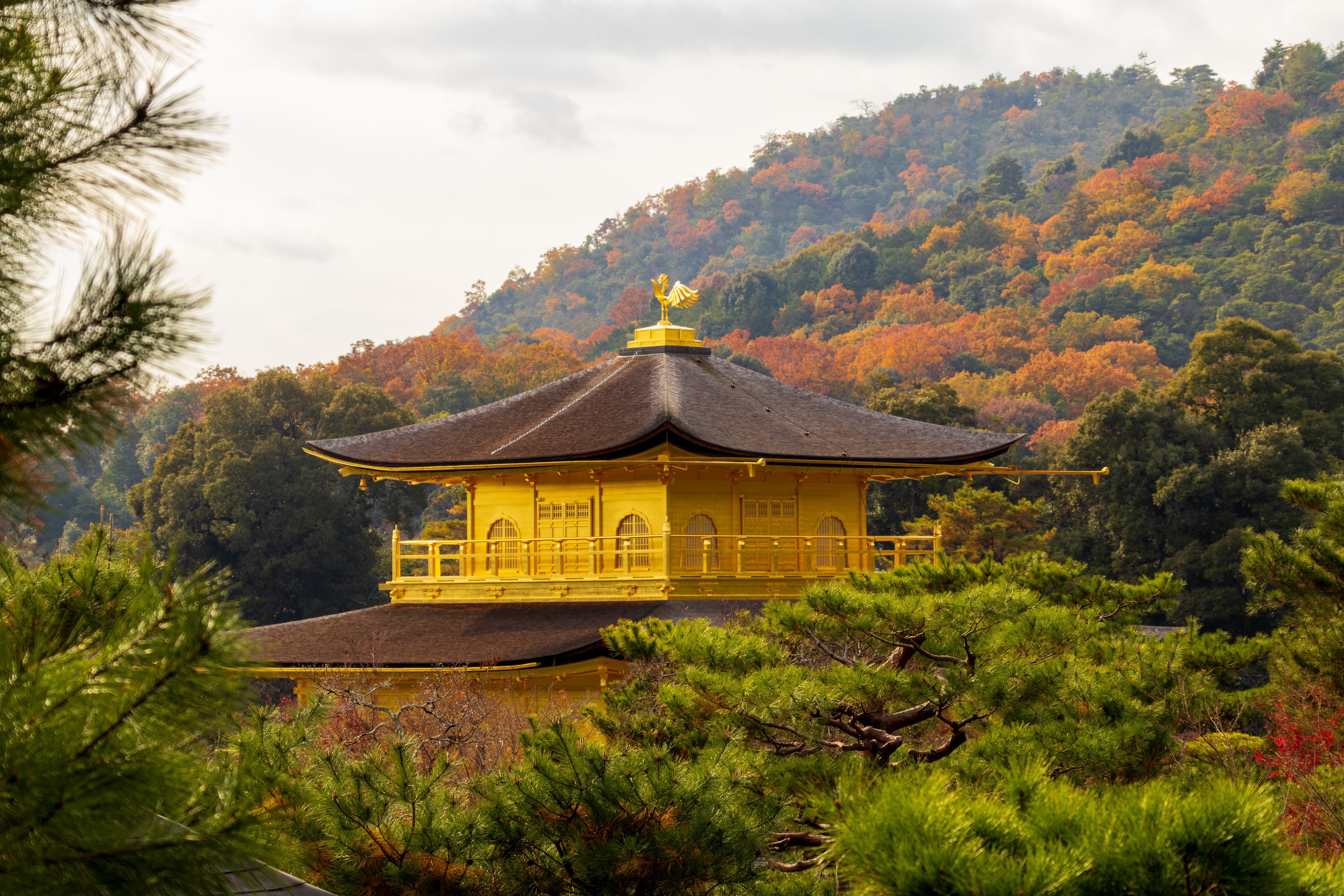 金閣寺 Photos, Download The BEST Free 金閣寺 Stock Photos & HD Images