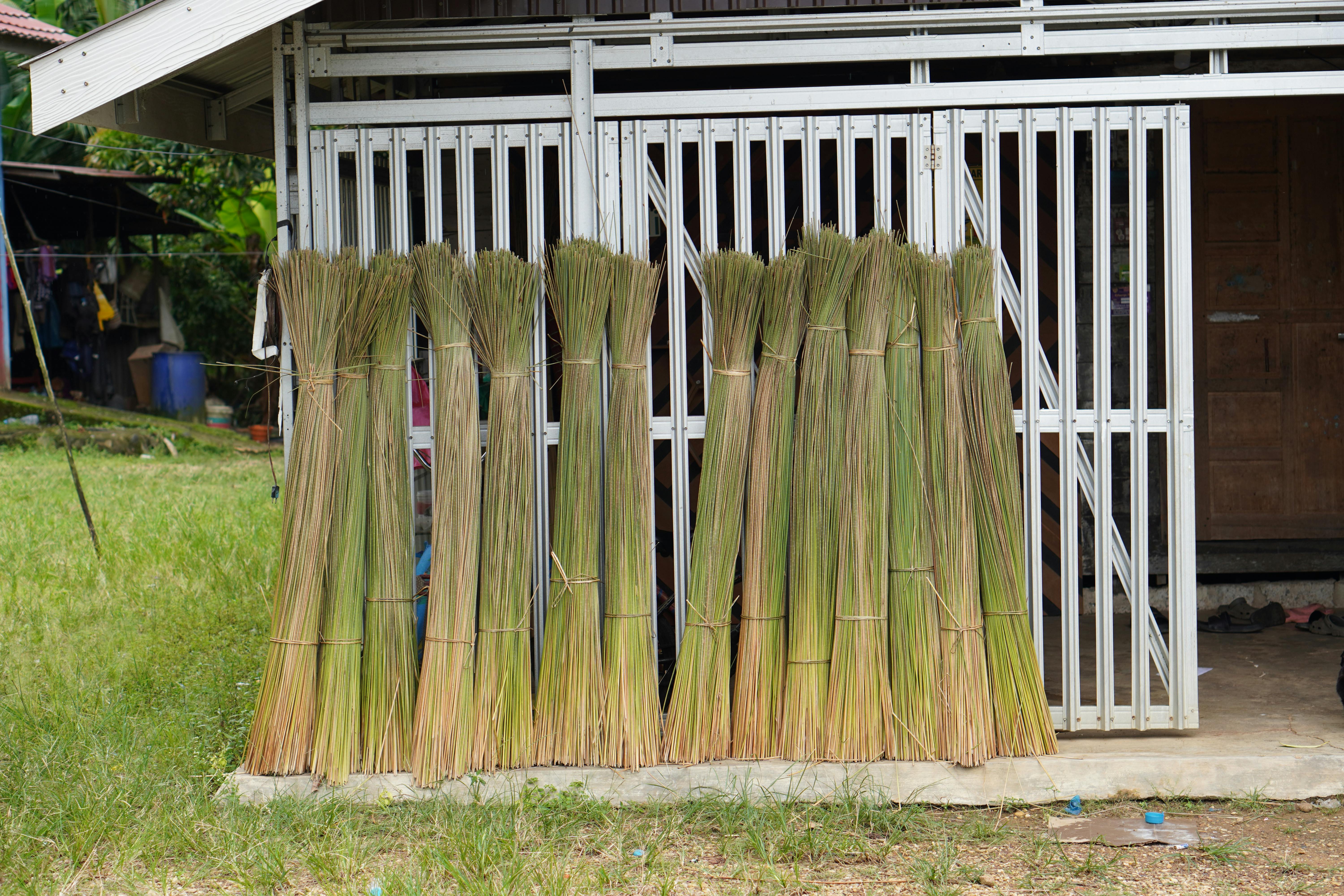 what should i prep for in 2026 Fazit