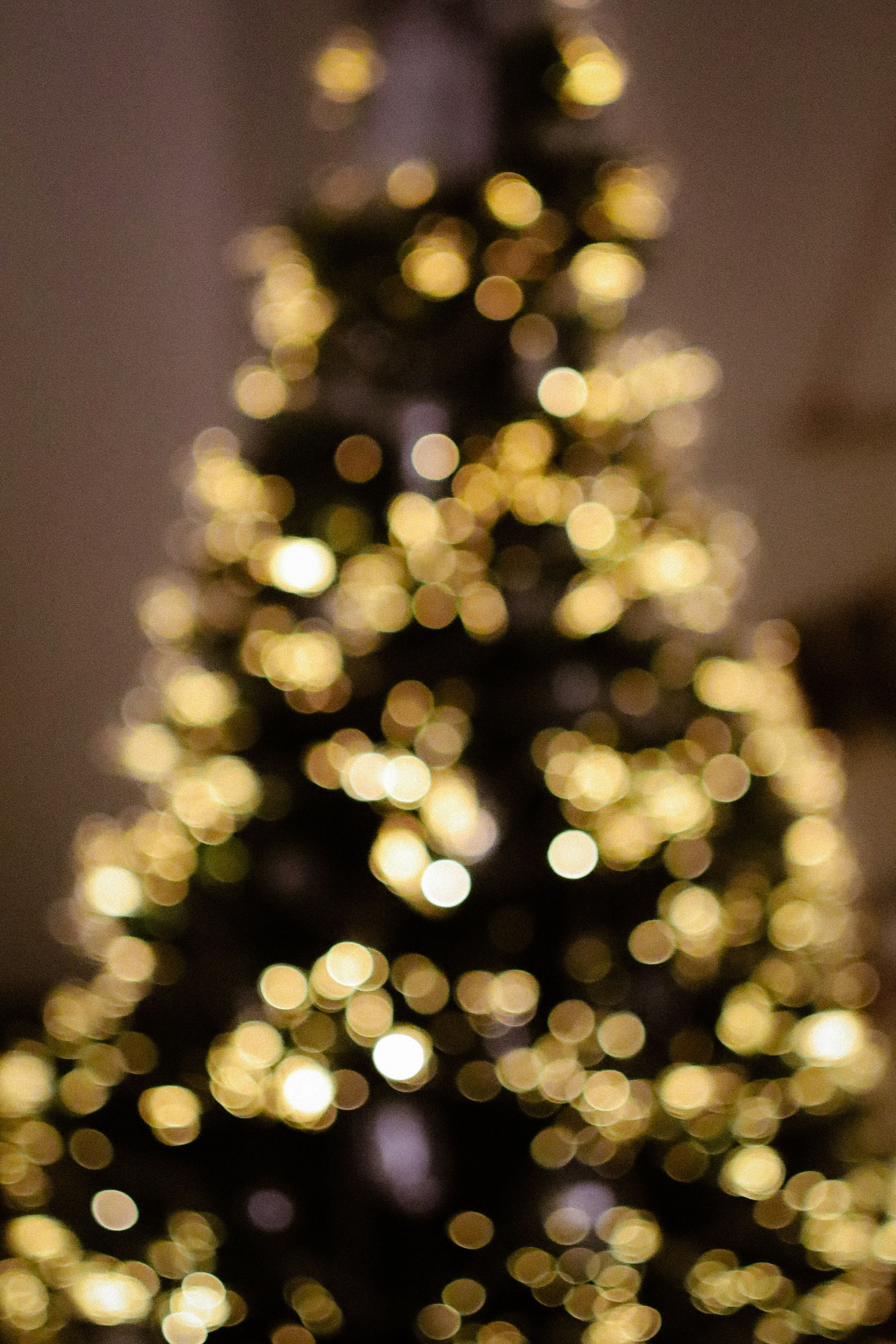 Green Christmas Tree With String Lights · Free Stock Photo
