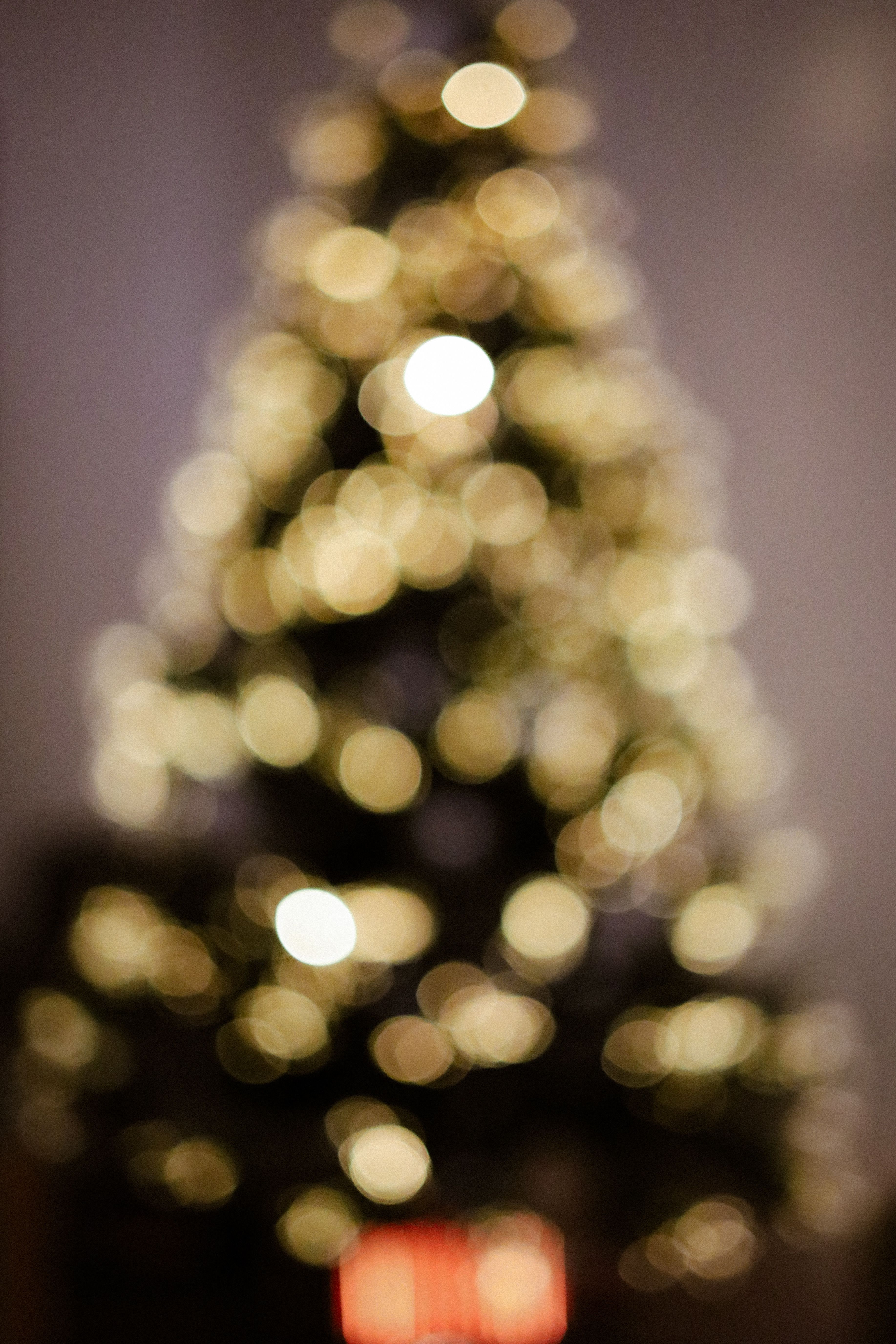 Abstract Christmas Tree Bokeh Light Pattern · Free Stock Photo