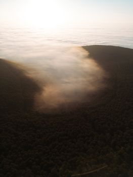 Majestätischer Sonnenaufgang & Wald – Naturmotiv als Hintergrundbild