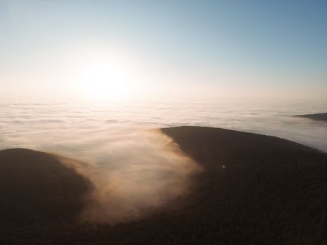 Serene aerial view of a foggy forest landscape at sunrise in Germany with dense morning mist.