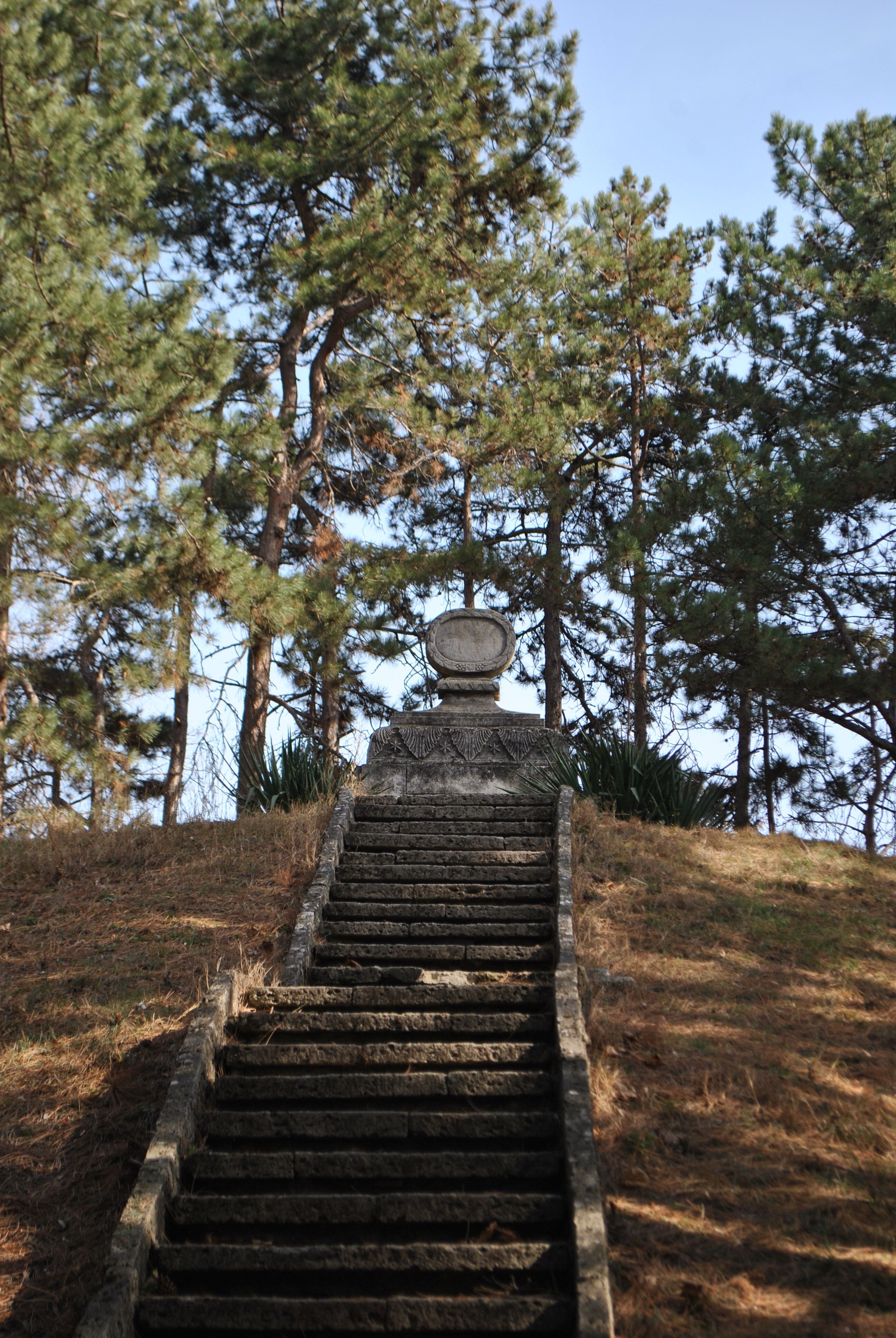 Hill 203
