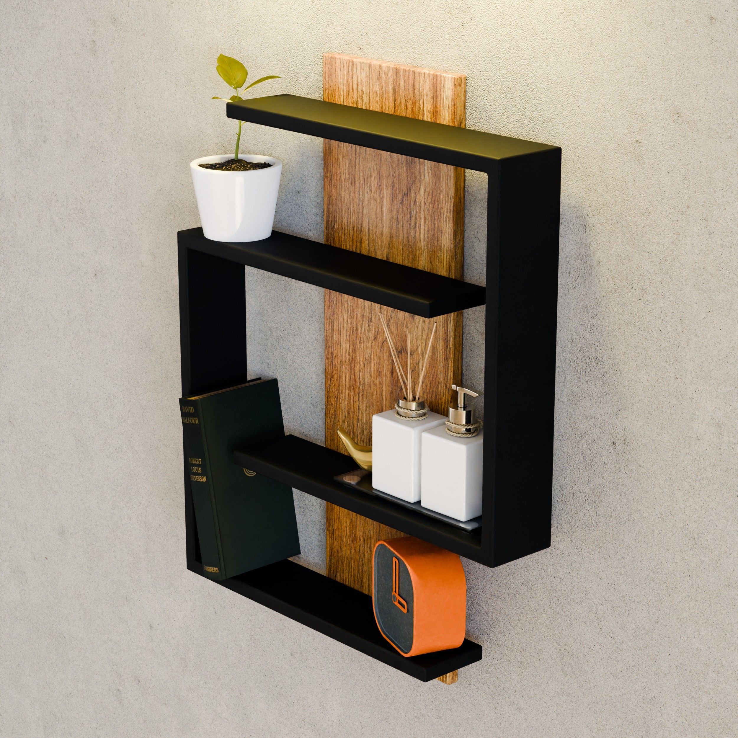 Black wall shelf with a trailing plant — photo by Pușcaș Adryan on Pexels