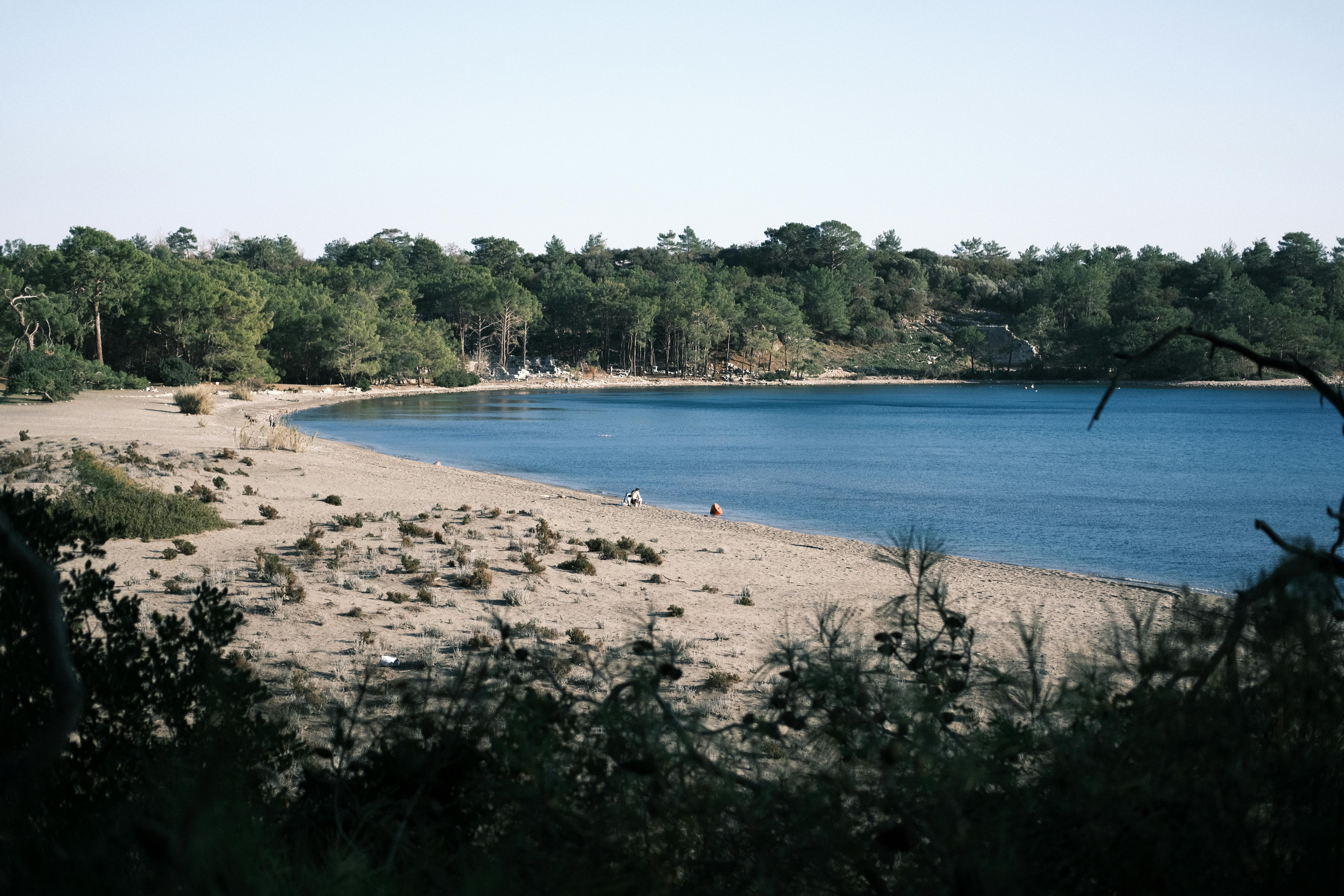 Innovative Strategies for Stress Relief in Corporate Environments