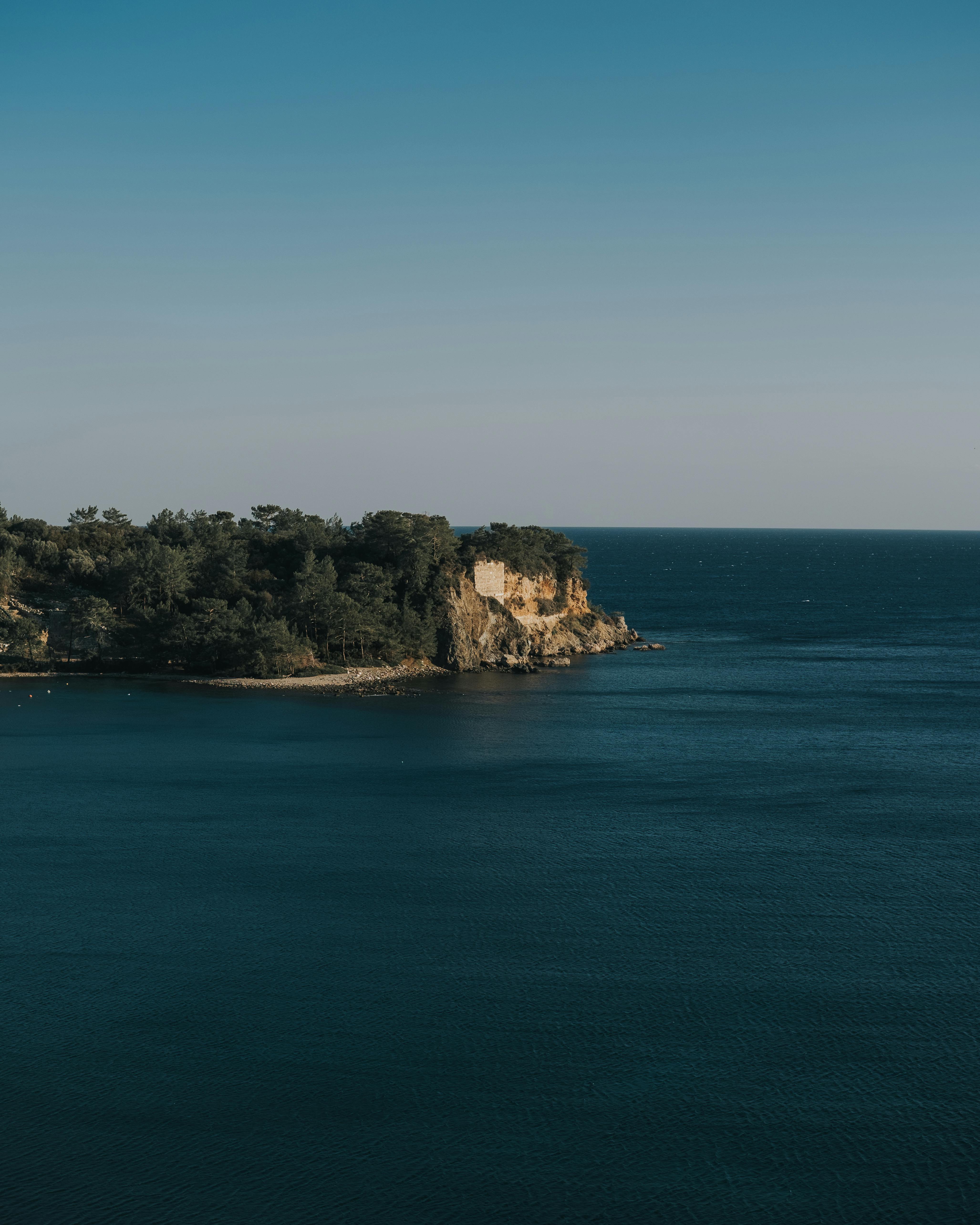 Peaceful coastal view with trees on a clifftop over blue sea under clear sky.