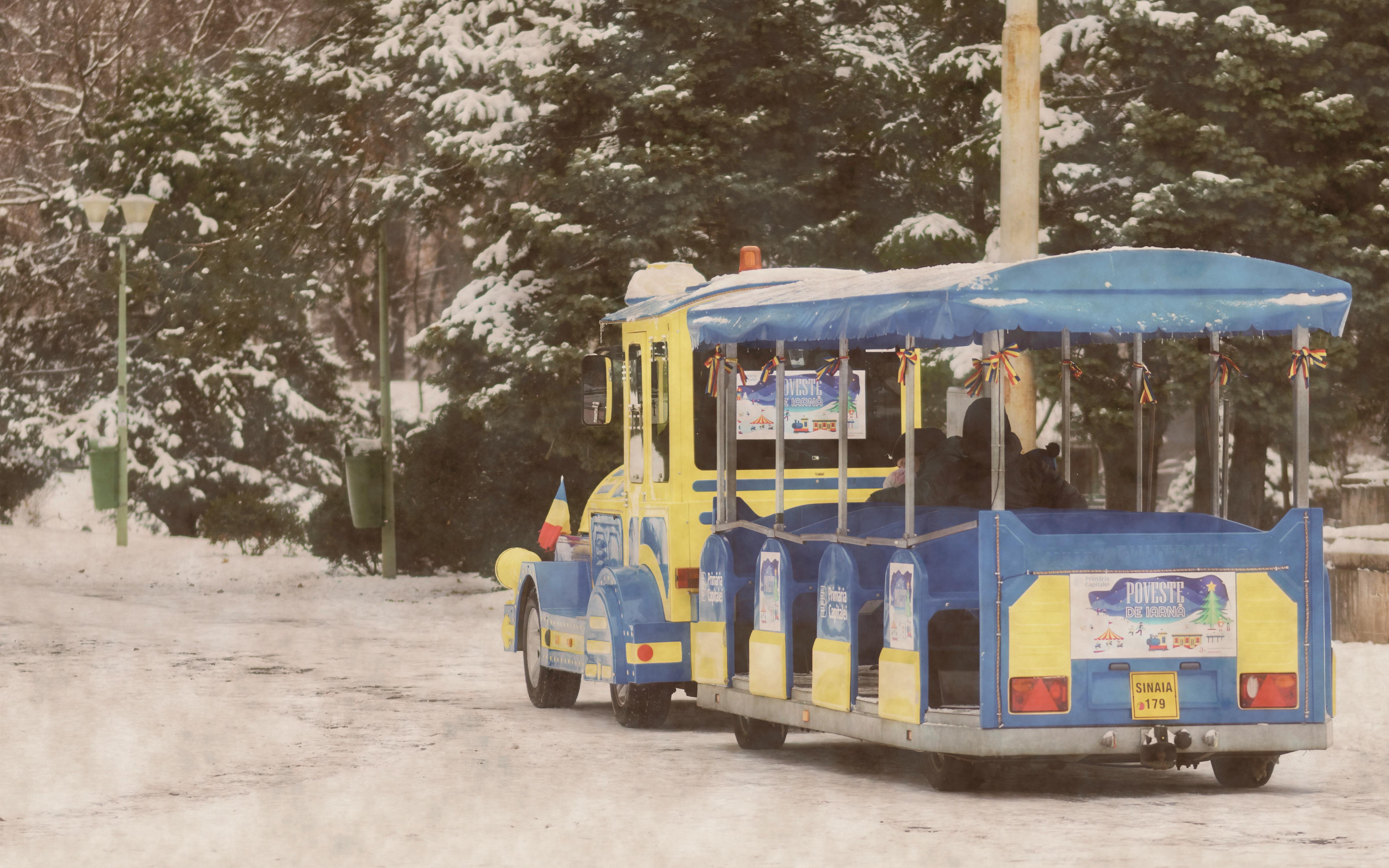 Gratis lagerfoto af børn, forlystelse, natur, park