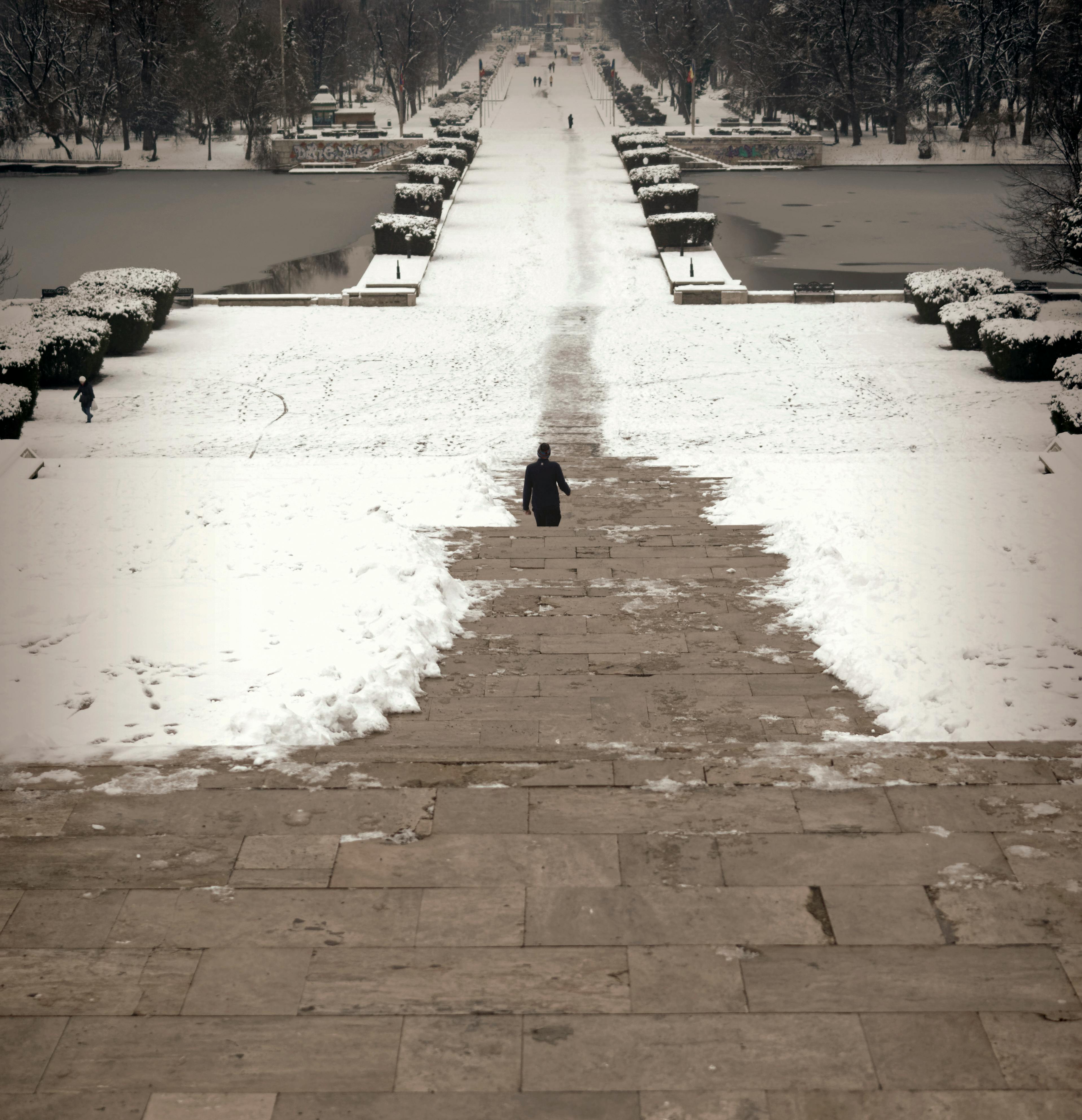 Gratis lagerfoto af folk, is, landskab, natur