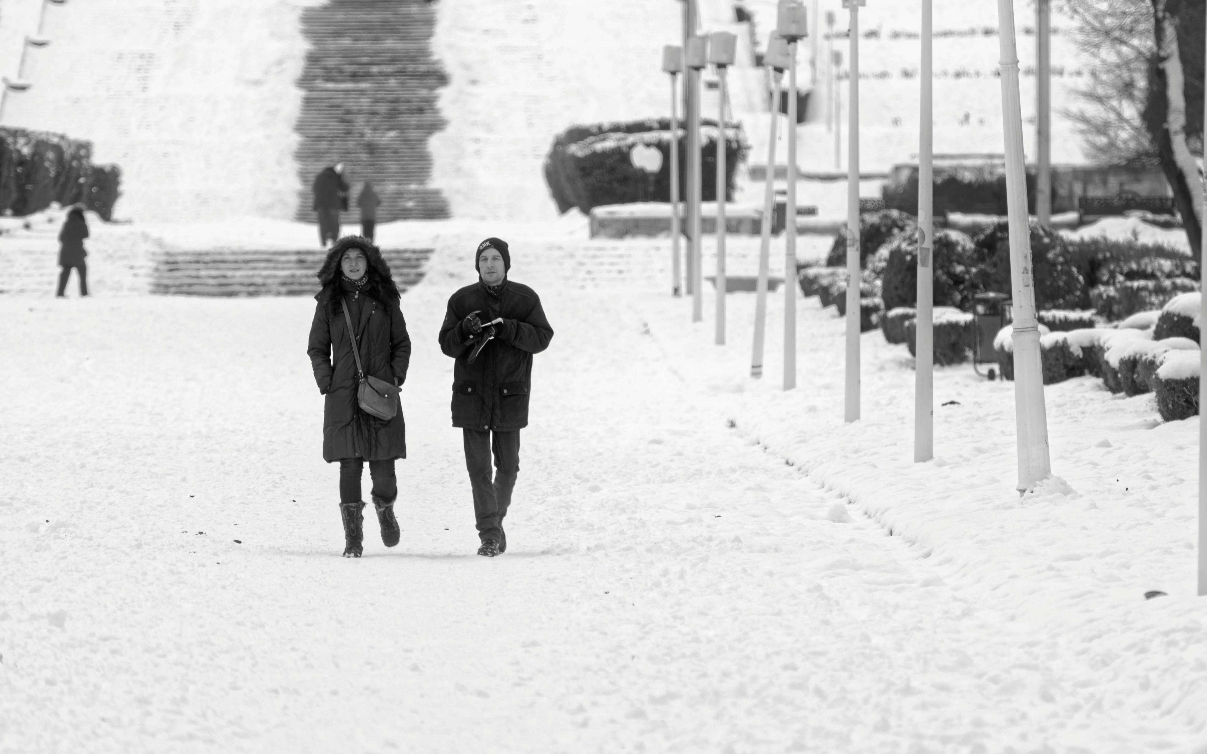 Gratis lagerfoto af folk, natur, park, personer