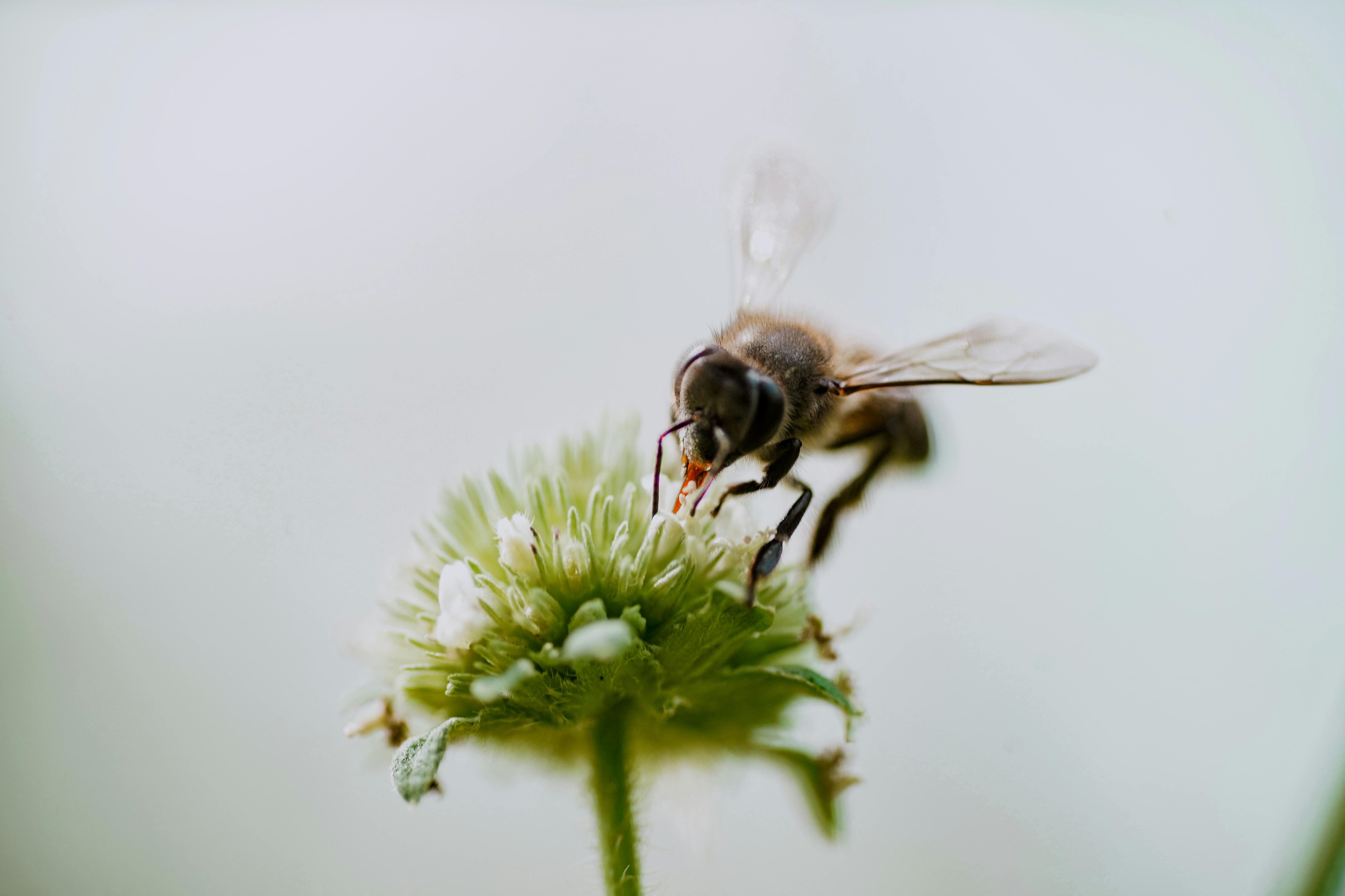 Ark Valley Civics Bee Competition to Send Three Local Students to State — Photo by Faded Photography on Pexels