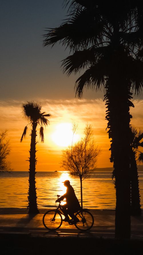 Free Silhouette of cyclist riding by palm trees during a stunning sunset on the beach. Stock Photo