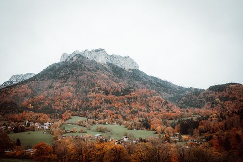 Free Beautiful autumn scene of a mountain with colorful foliage in the French Alps. Stock Photo