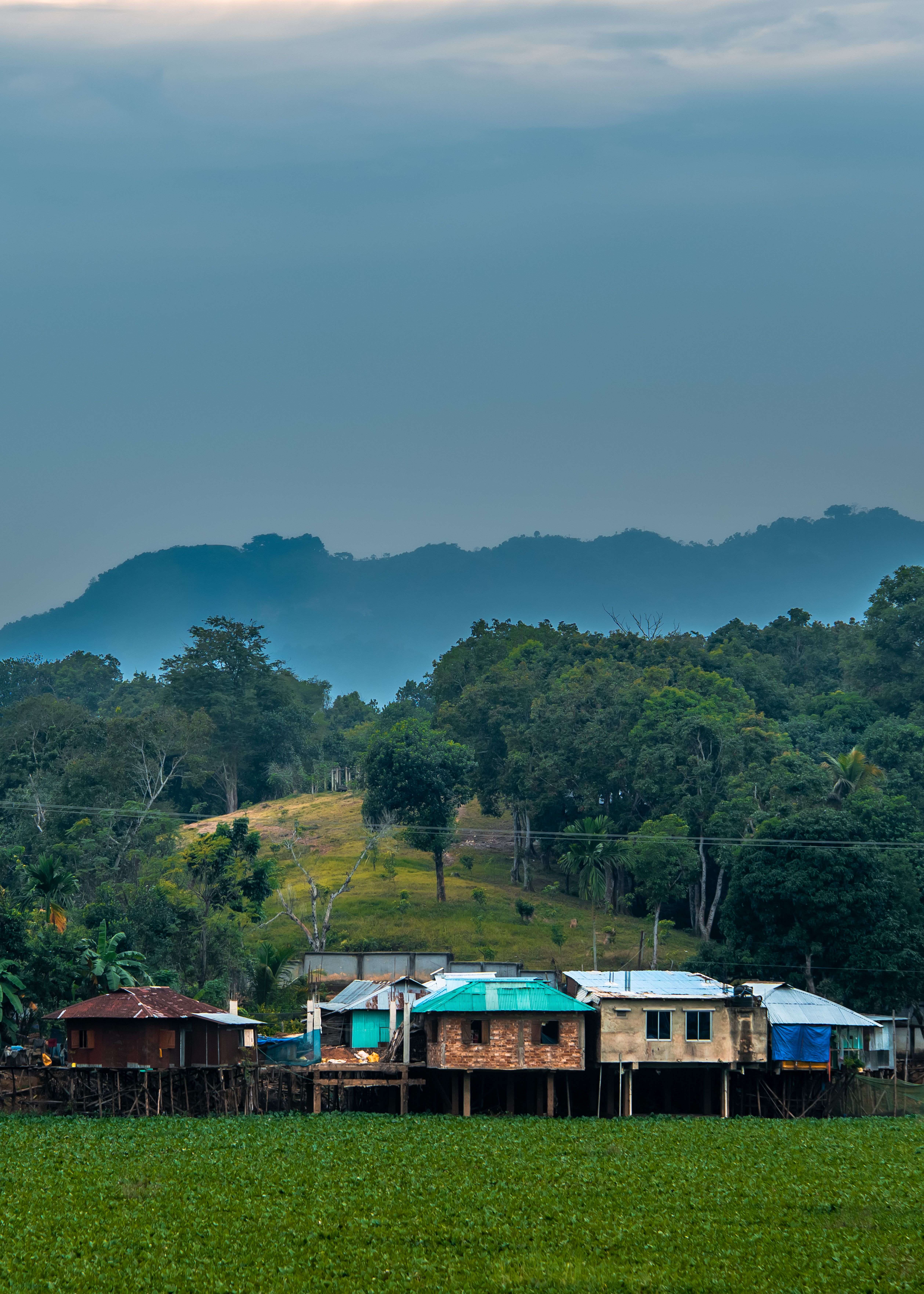 Rural village at the edge of lush forest landscape · Free Stock Photo