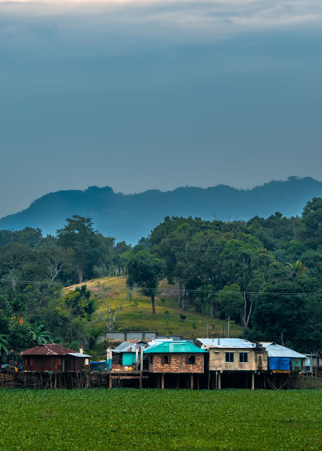 Rainforest Rural Rural village at the edge of lush forest landscape · Free Stock Photo