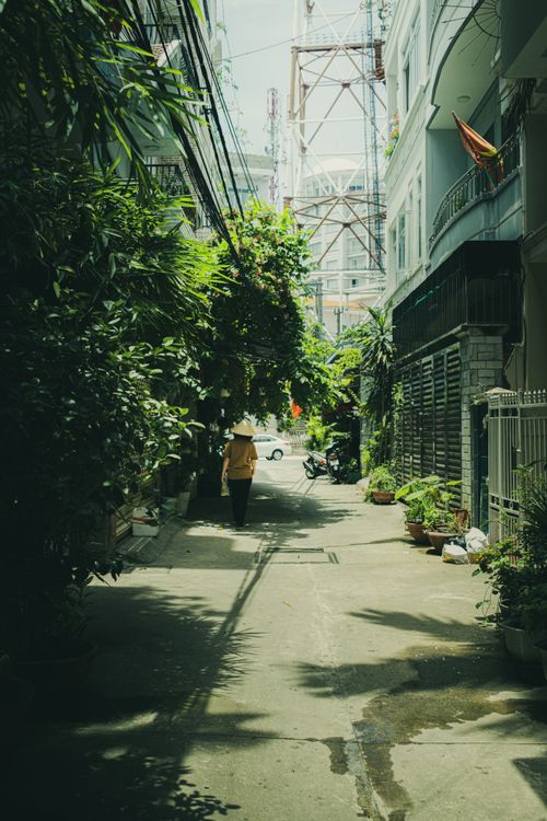 Free Explore a peaceful alleyway in Vietnam, adorned with greenery and urban charm. Stock Photo