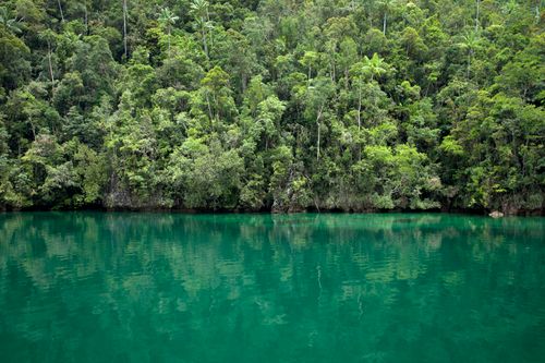 Free Dense tropical rainforest reflected in a calm, emerald lake under daylight. Stock Photo