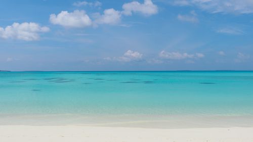 Free Breathtaking view of a white sand beach and clear turquoise waters in the Maldives. Stock Photo