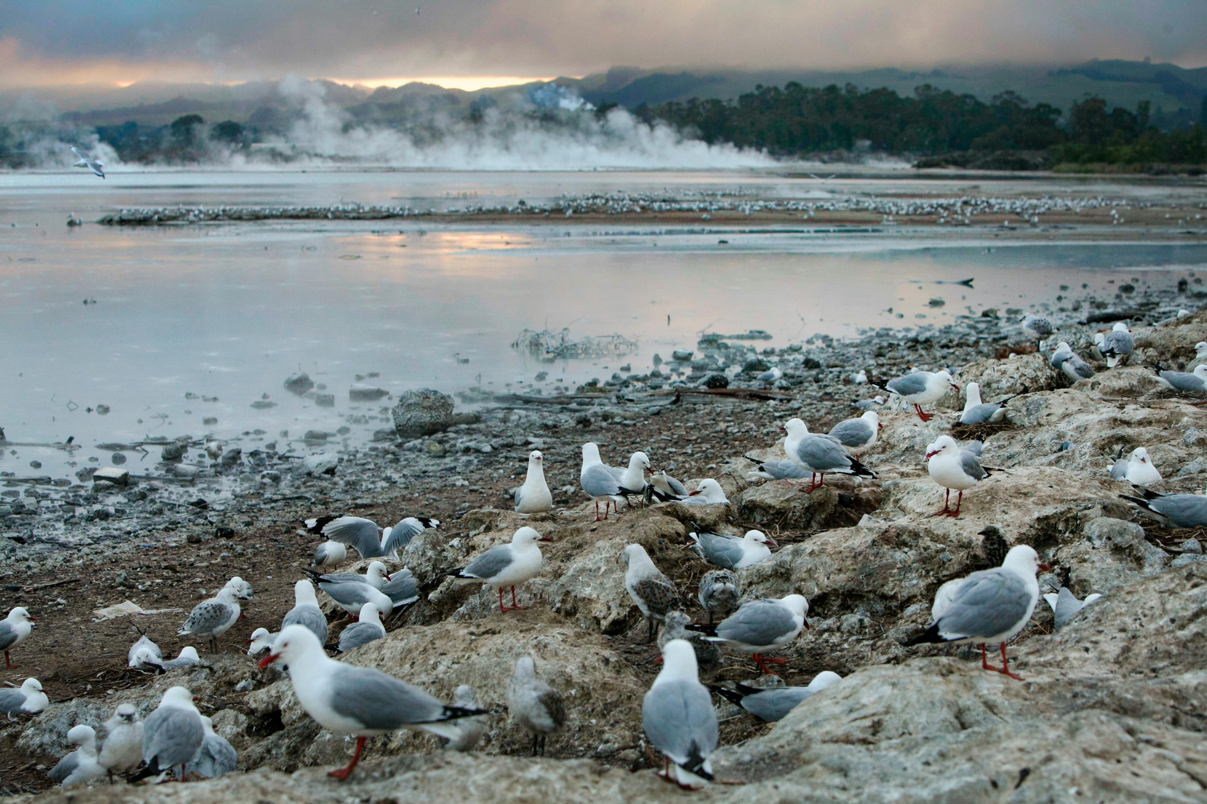 general travel new zealand — Photo by Jeffry Surianto on Pexels