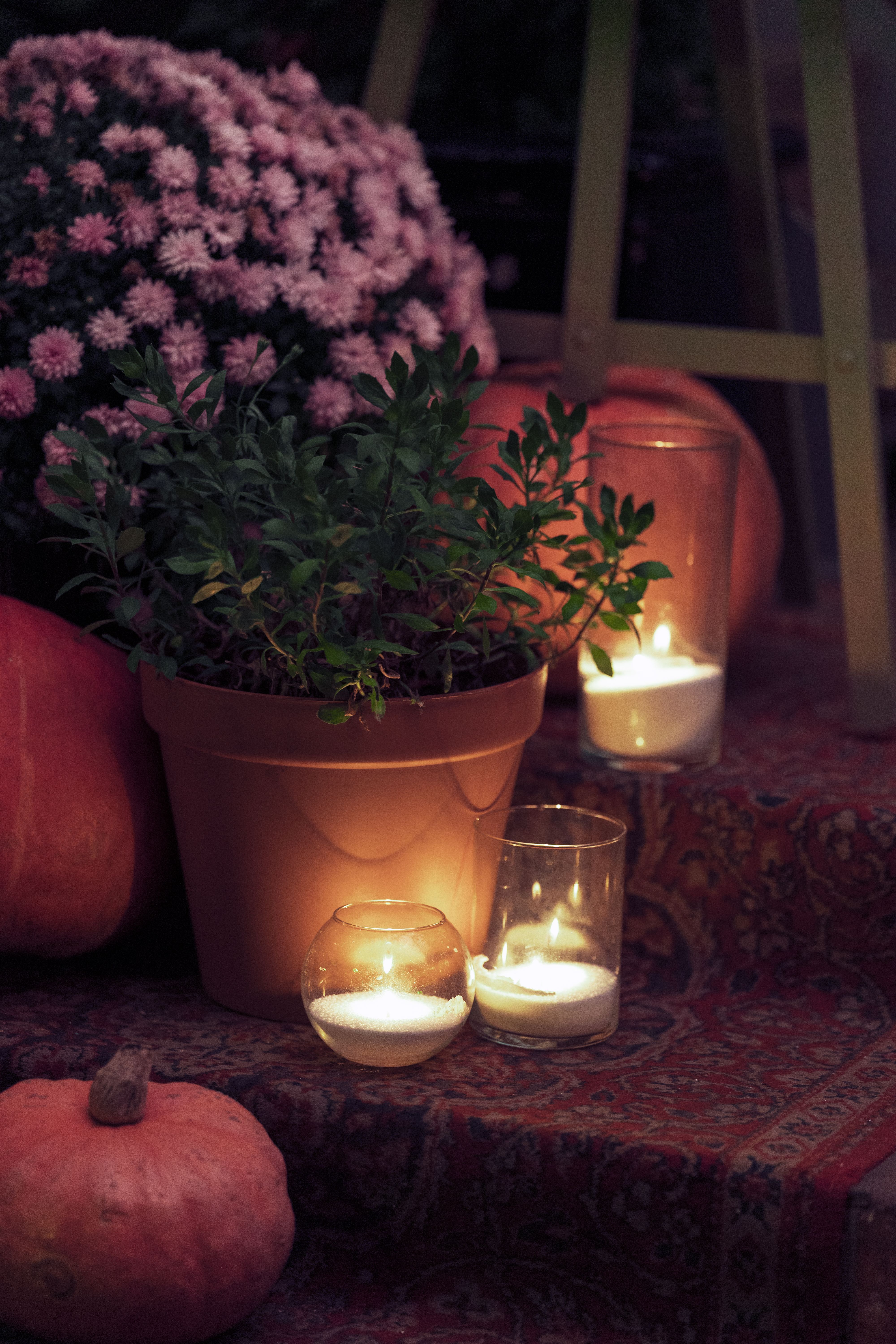 Cozy Autumn Setup with Pumpkins and Candles · Free Stock Photo