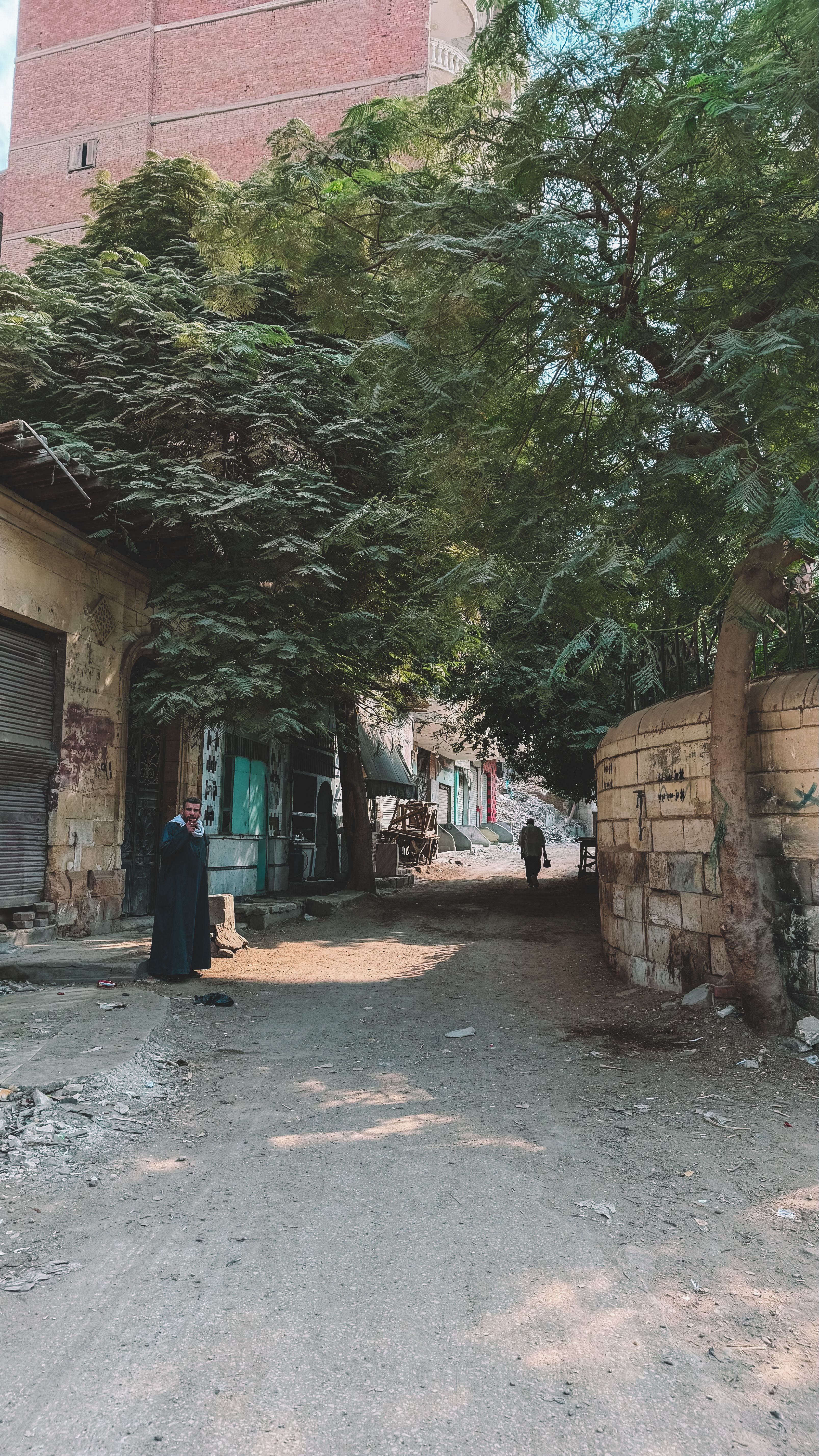 Charming narrow street in Cairo, Egypt, lined with trees and stone walls, capturing local life.