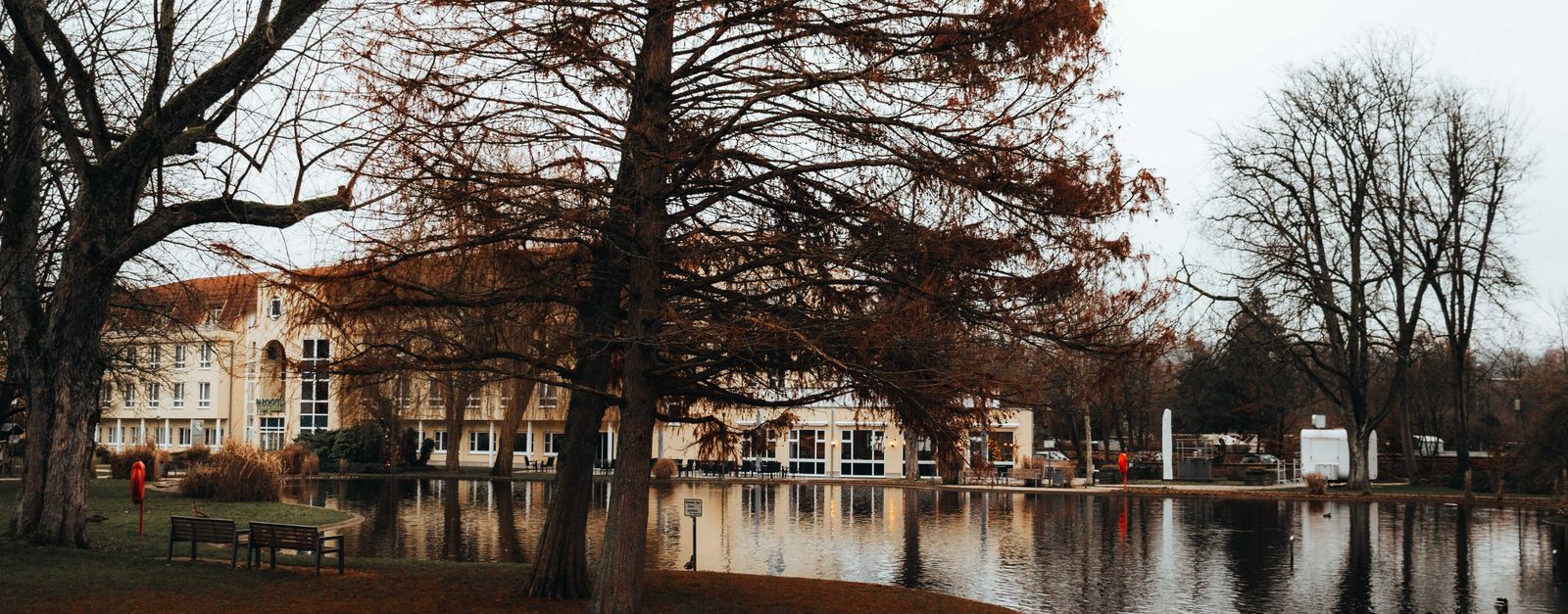 Tranquil winter scenery with trees reflecting in a pond in Bad Hersfeld, Germany.