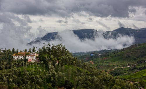 ağaçlar, bulutlar, coonoor içeren Ücretsiz stok fotoğraf