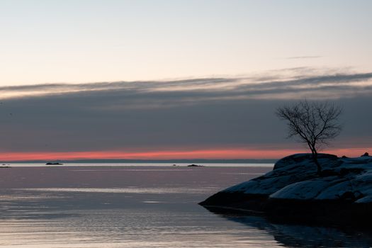 A tranquil sunrise over the water at Cove Island Park in Stamford, Connecticut, with a solitary tree silhouetted against the sky.