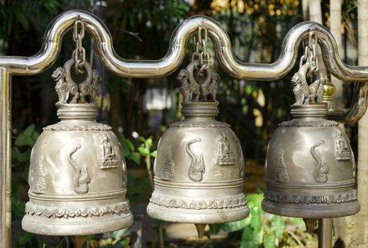 Ethical elephant sanctuary day — Chiang Mai