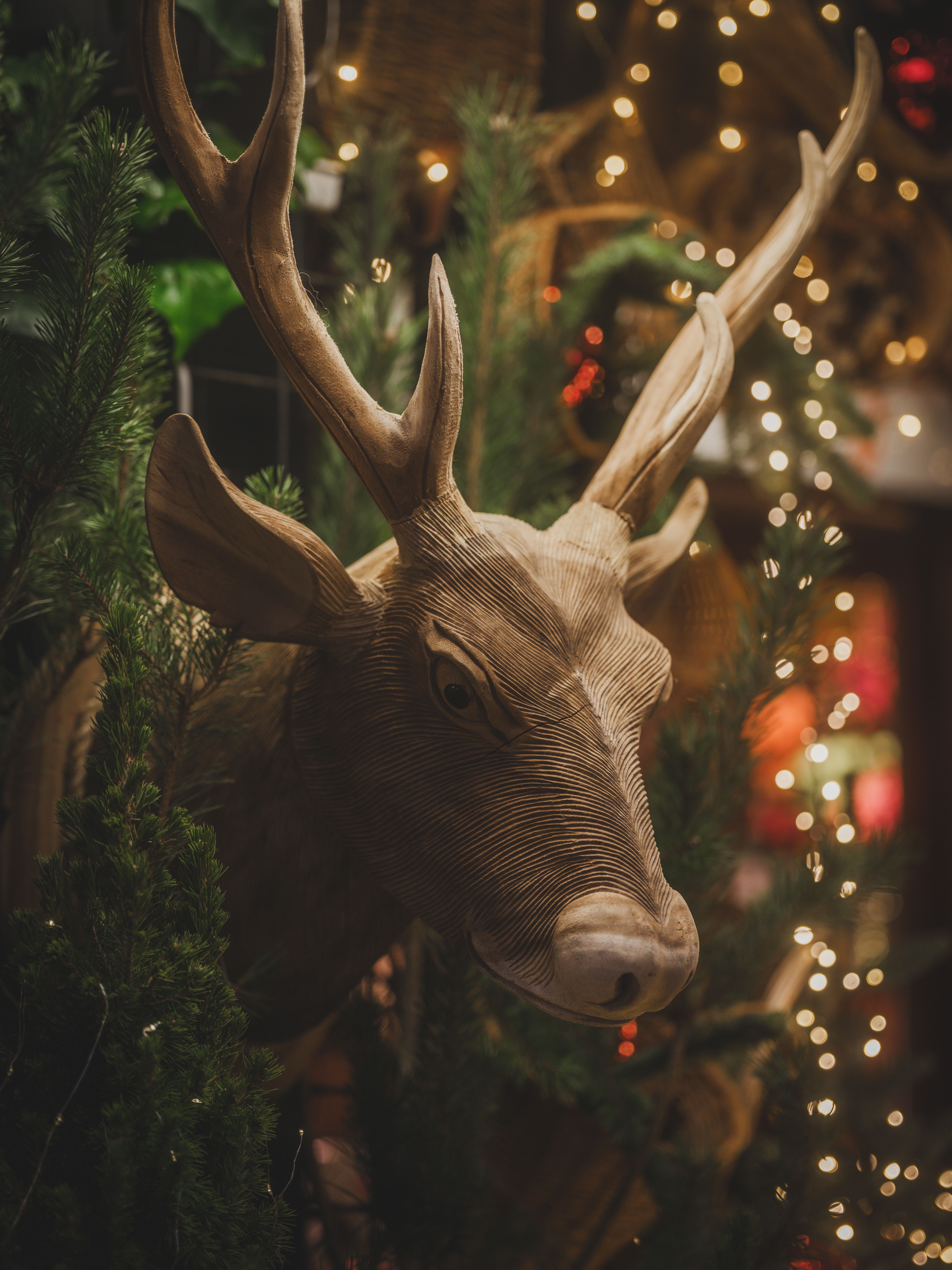 Wooden Reindeer Head Amidst Christmas Decor · Free Stock Photo