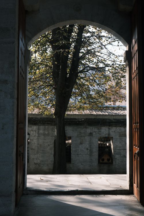 Free View through an archway of a tree in a serene sunlit courtyard. Stock Photo