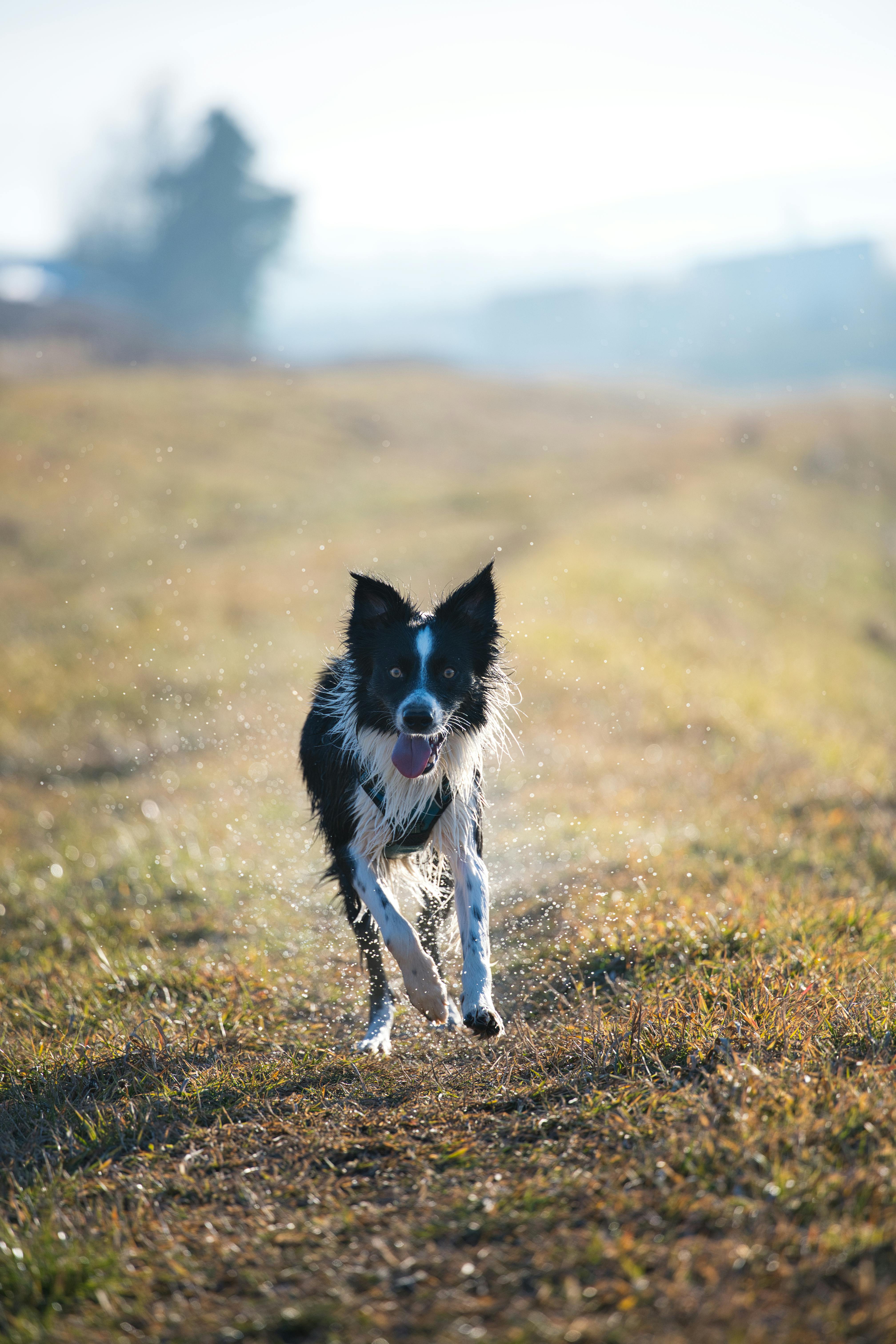 1.219.900+ Fotos y Imágenes de Onlyfans+vides Gratis · Banco de Fotos