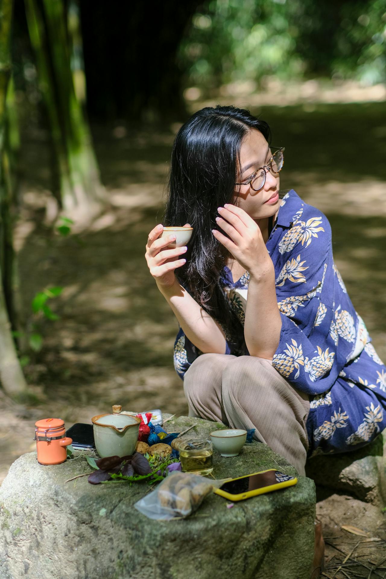 Vào phủ chúa Trịnh