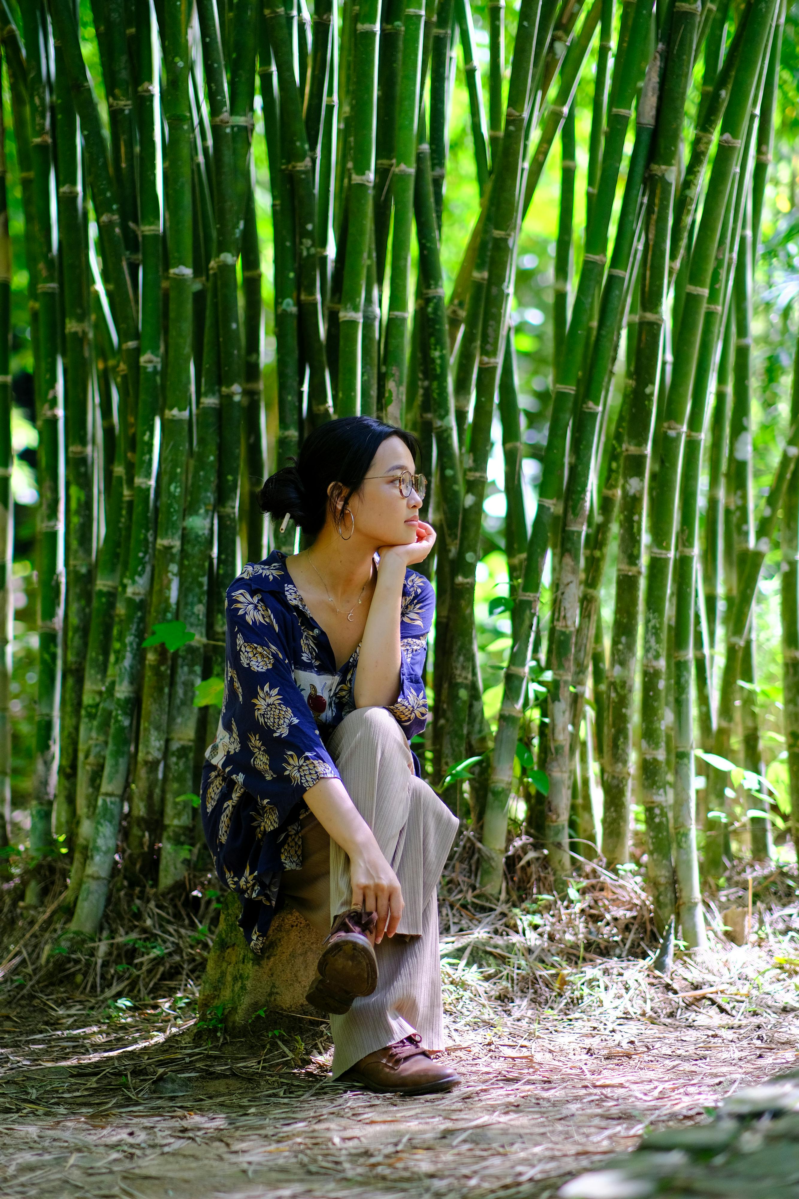 Danh sách theo thẻ thu-vien, trang 12