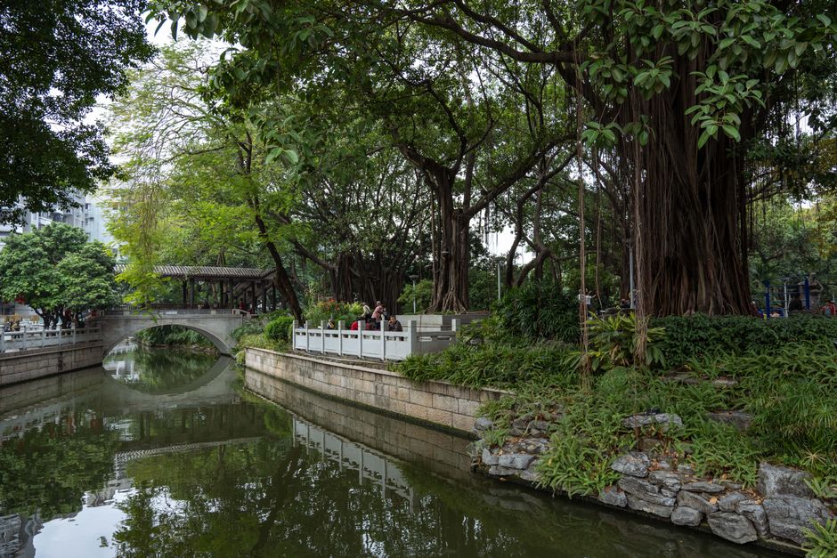 Cout de la vie a Guangzhou en 2026 : budget detaille pour expatries
