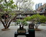 Traditional Chinese Courtyard with Bonsai Trees