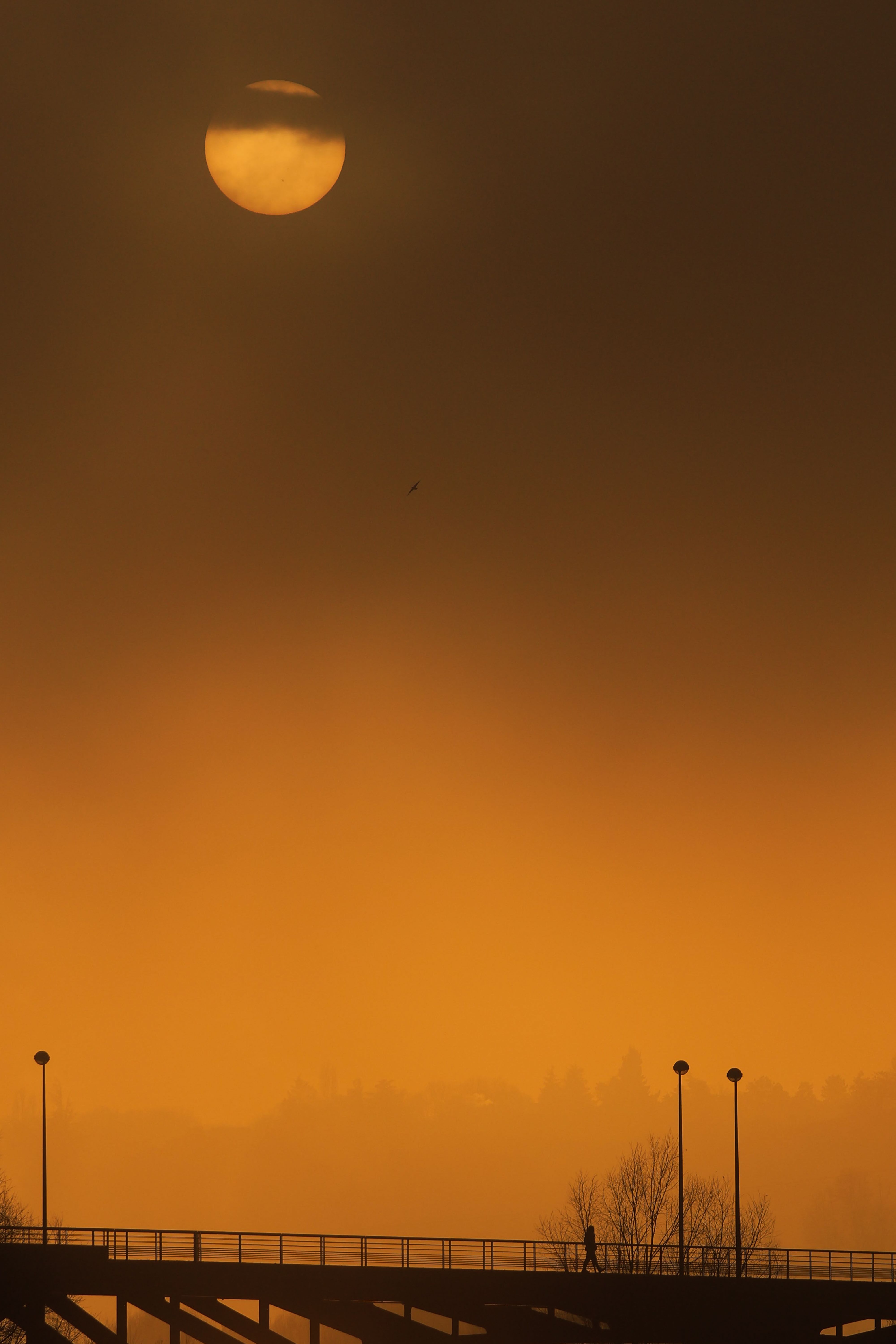 Dramatic Sunset Over City Bridge Silhouette · Free Stock Photo