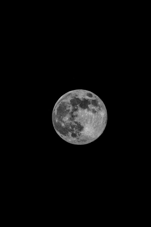 Free Stunning black and white photo of the moon showcasing detailed lunar surface textures against a night sky. Stock Photo