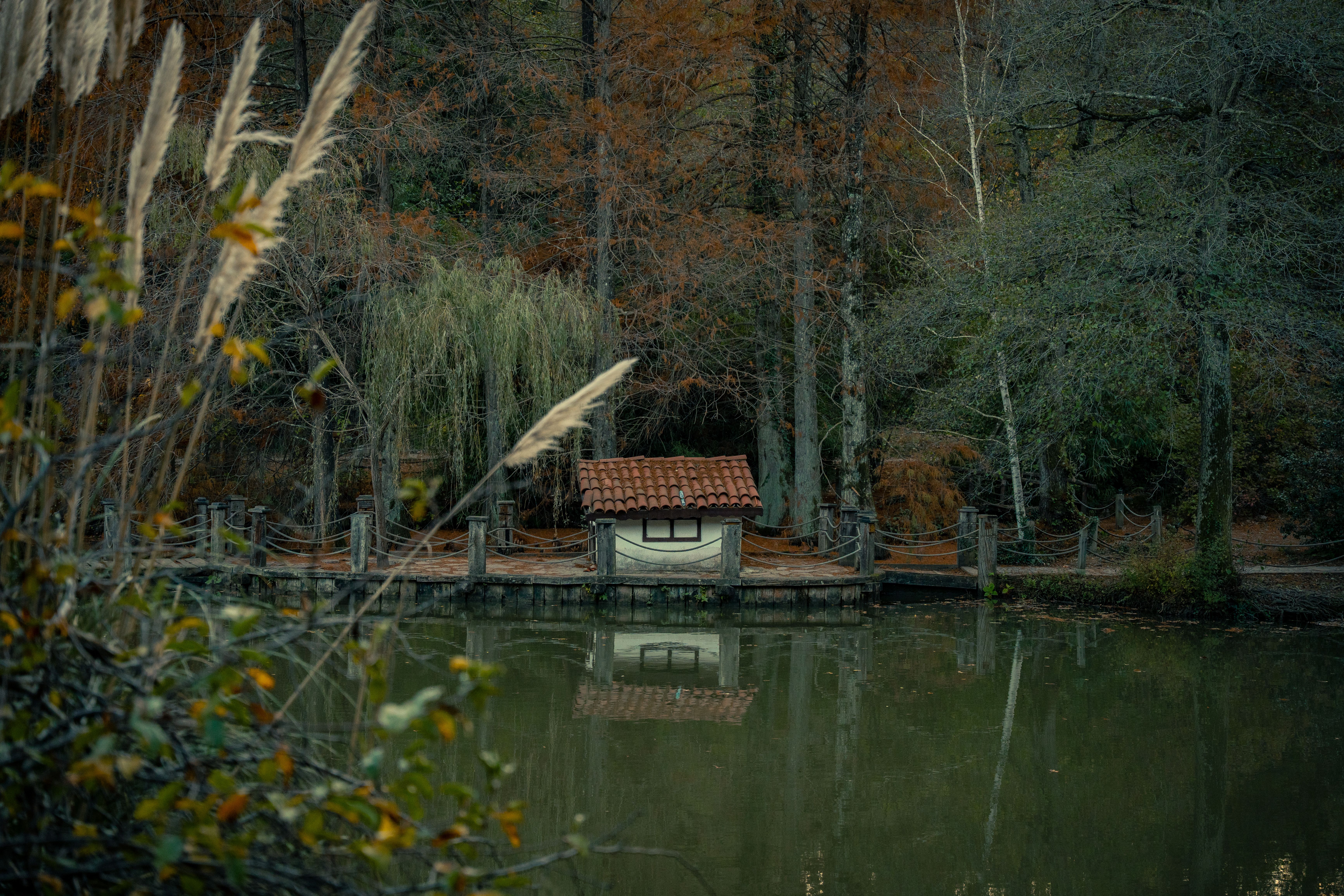 Serene Lakeside Cottage During Fall Season · Free Stock Photo