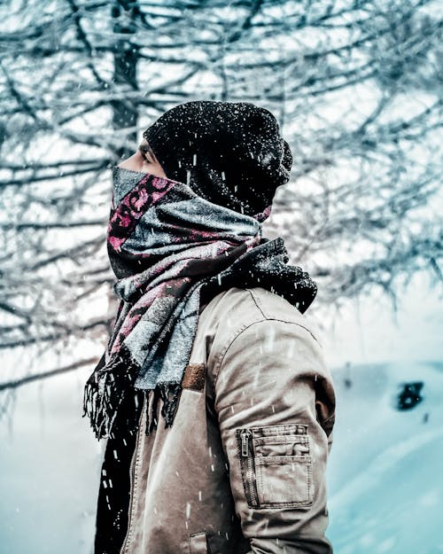 Foto d'estoc gratuïta de bufanda, capó, cobert de neu