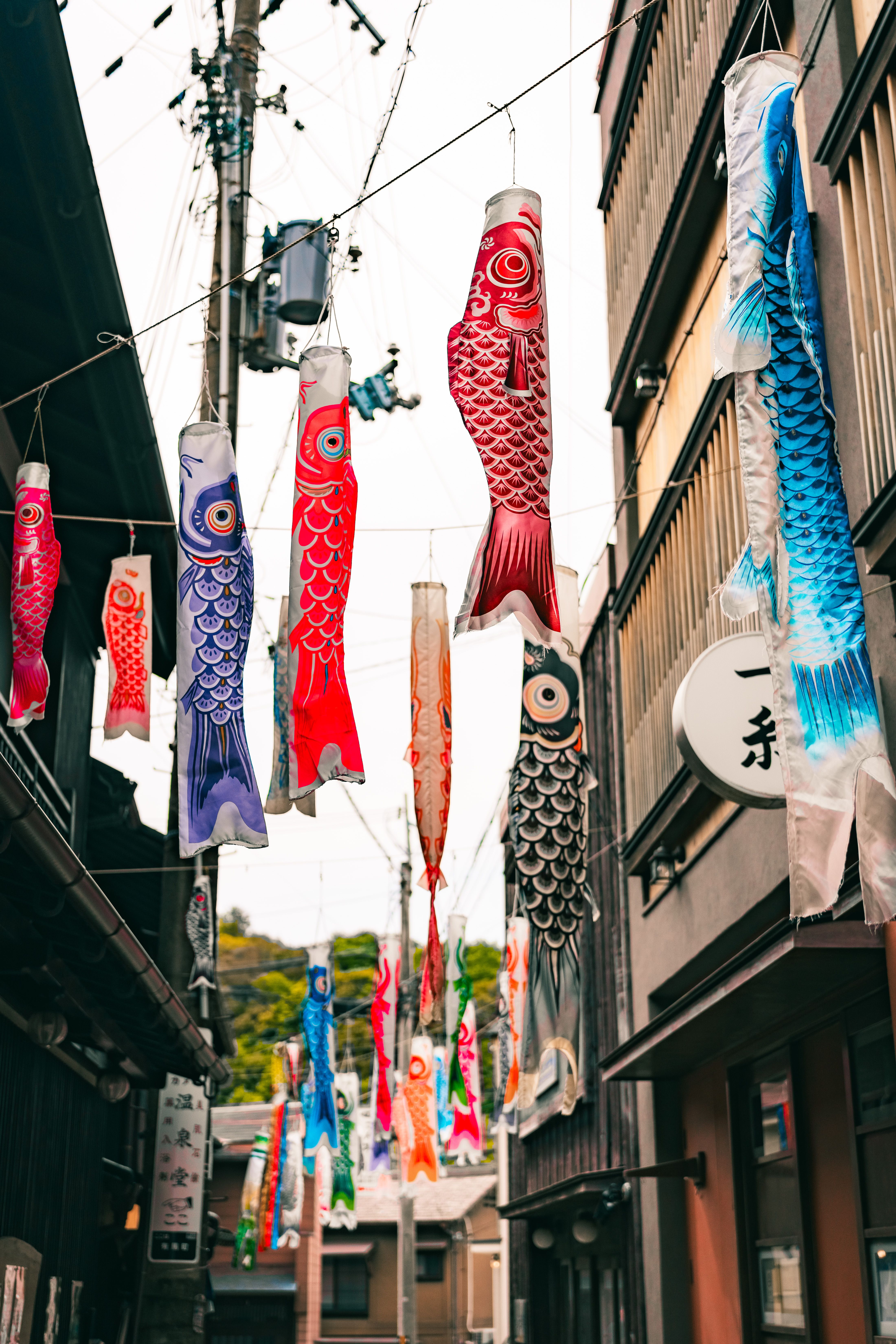 Le Japon - photo 6