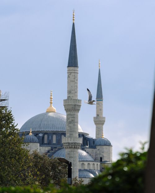 Free Beautiful view of the iconic Blue Mosque with minarets and a bird in Istanbul. Stock Photo