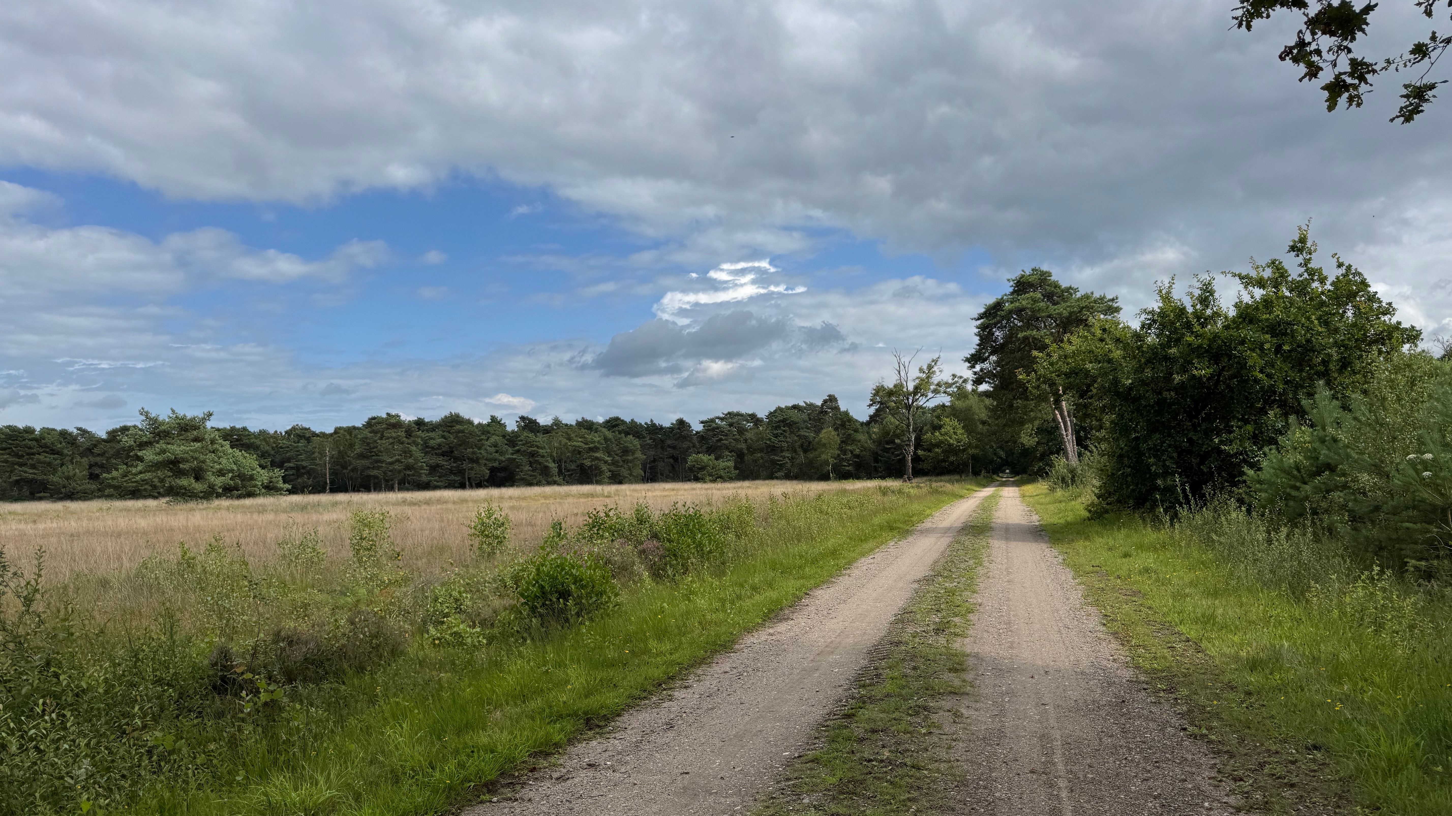 Scenic Dirt Path in Dutch Countryside · Free Stock Photo