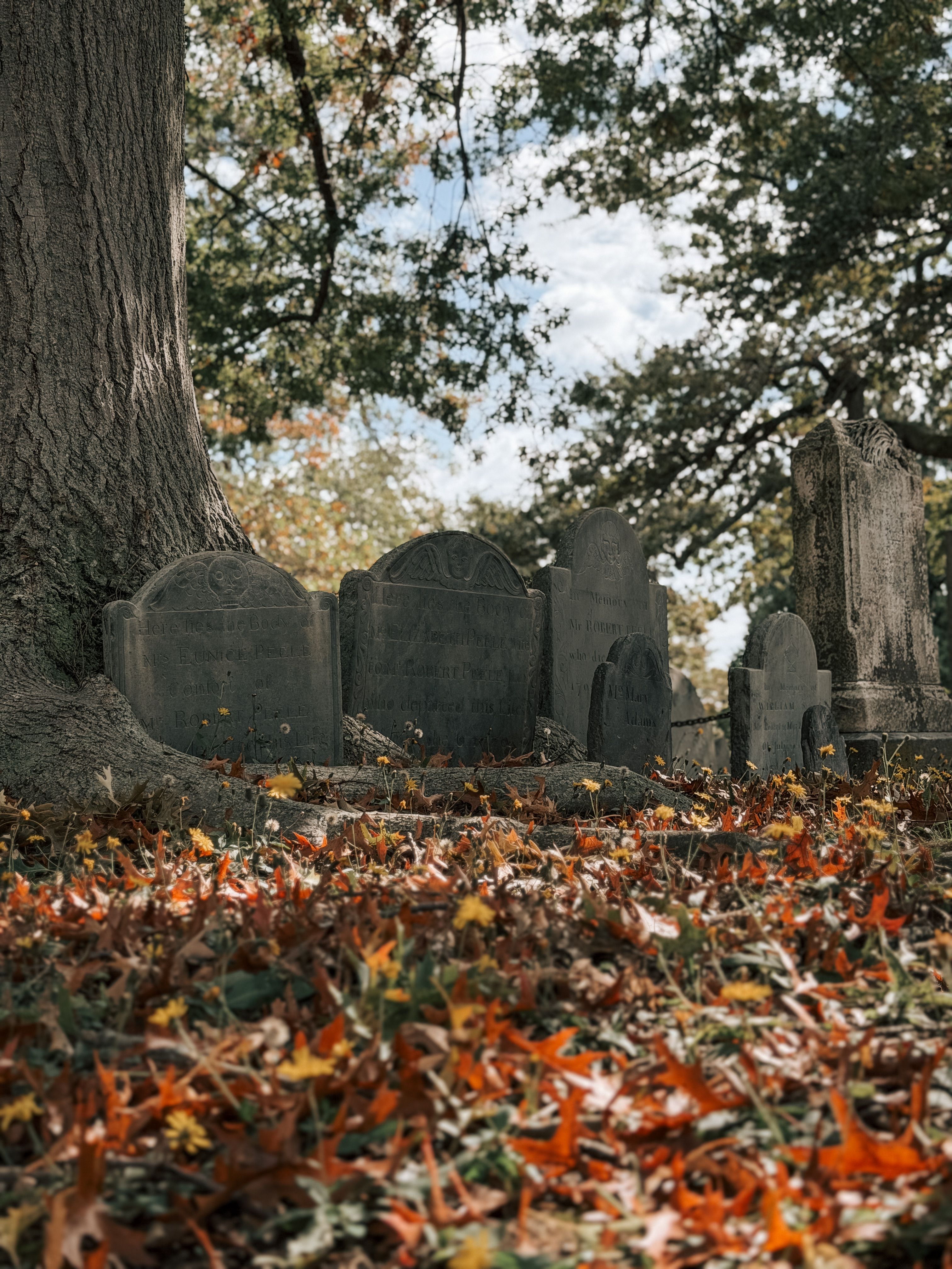 Historic Gravestones in Salem Cemetery During Fall · Free Stock Photo