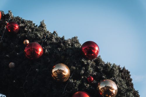 Free Christmas tree branch decorated with red and gold ornaments under a clear blue sky. Stock Photo