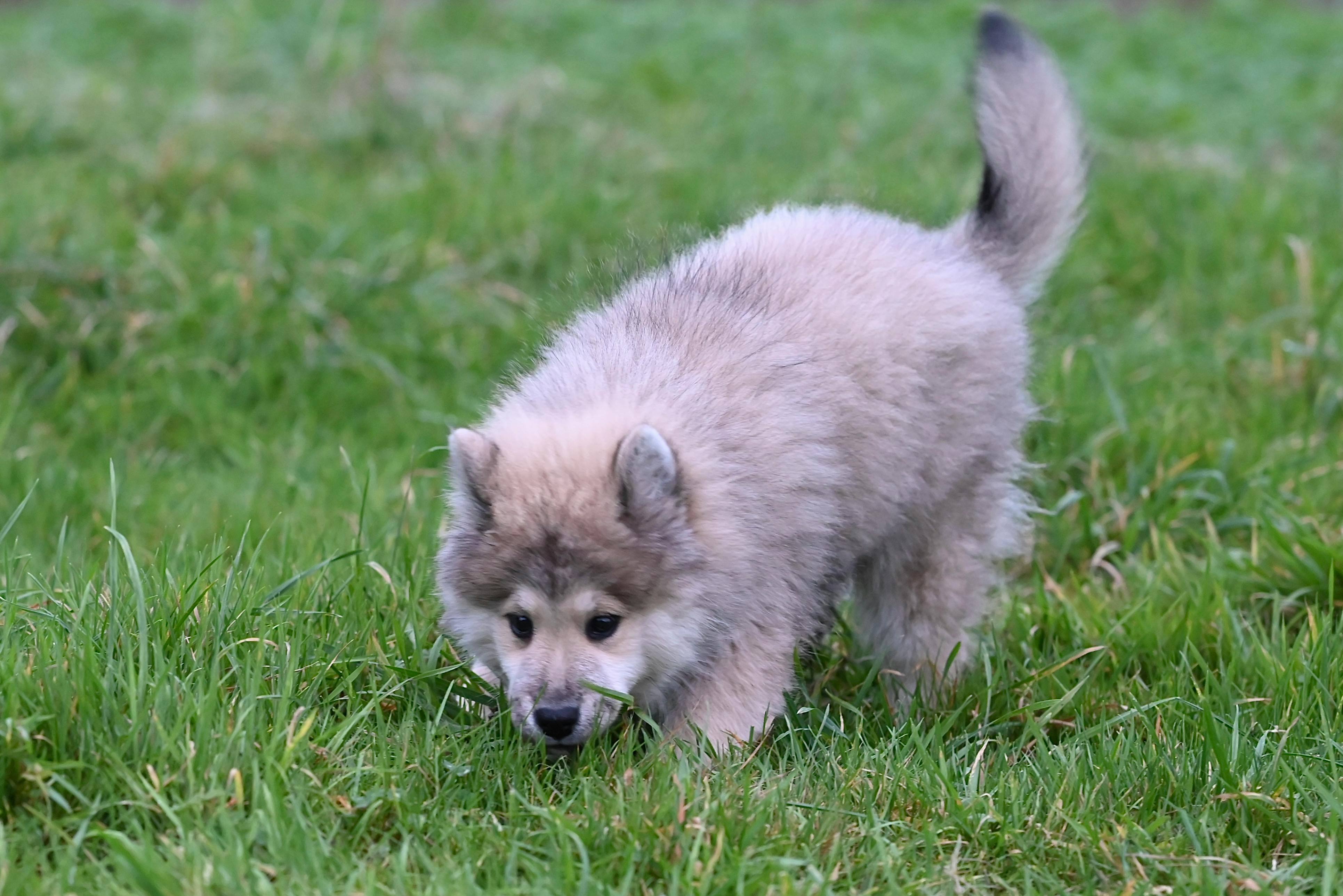 outdoor adventure, camping life, nature escape - Detail