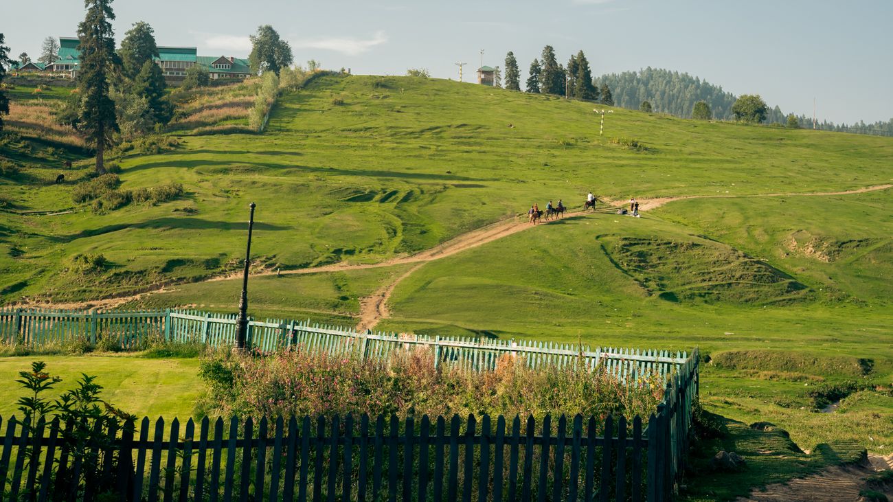 Shaliganga River Meadow
