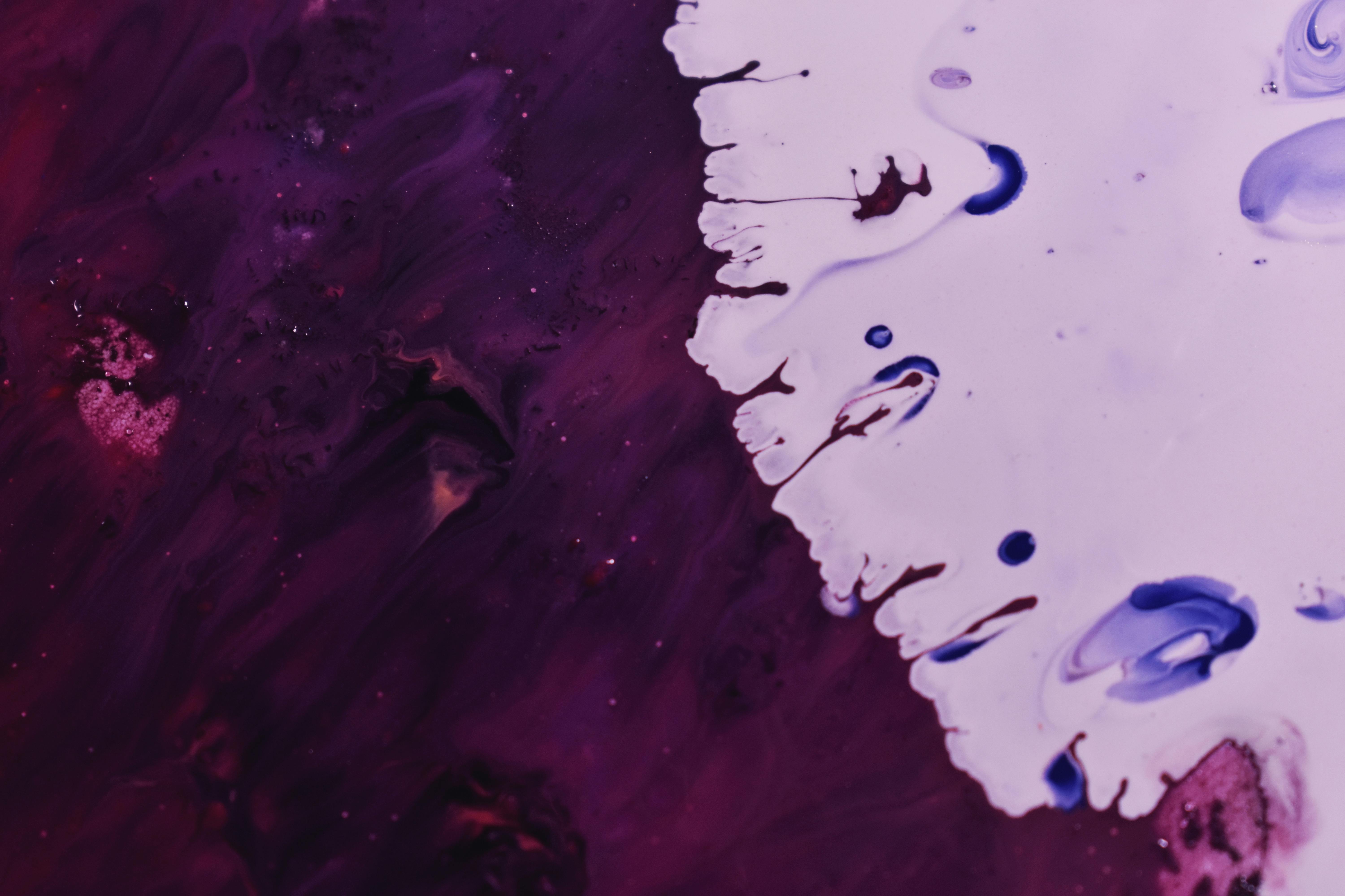 Purple and White Paint · Free Stock Photo