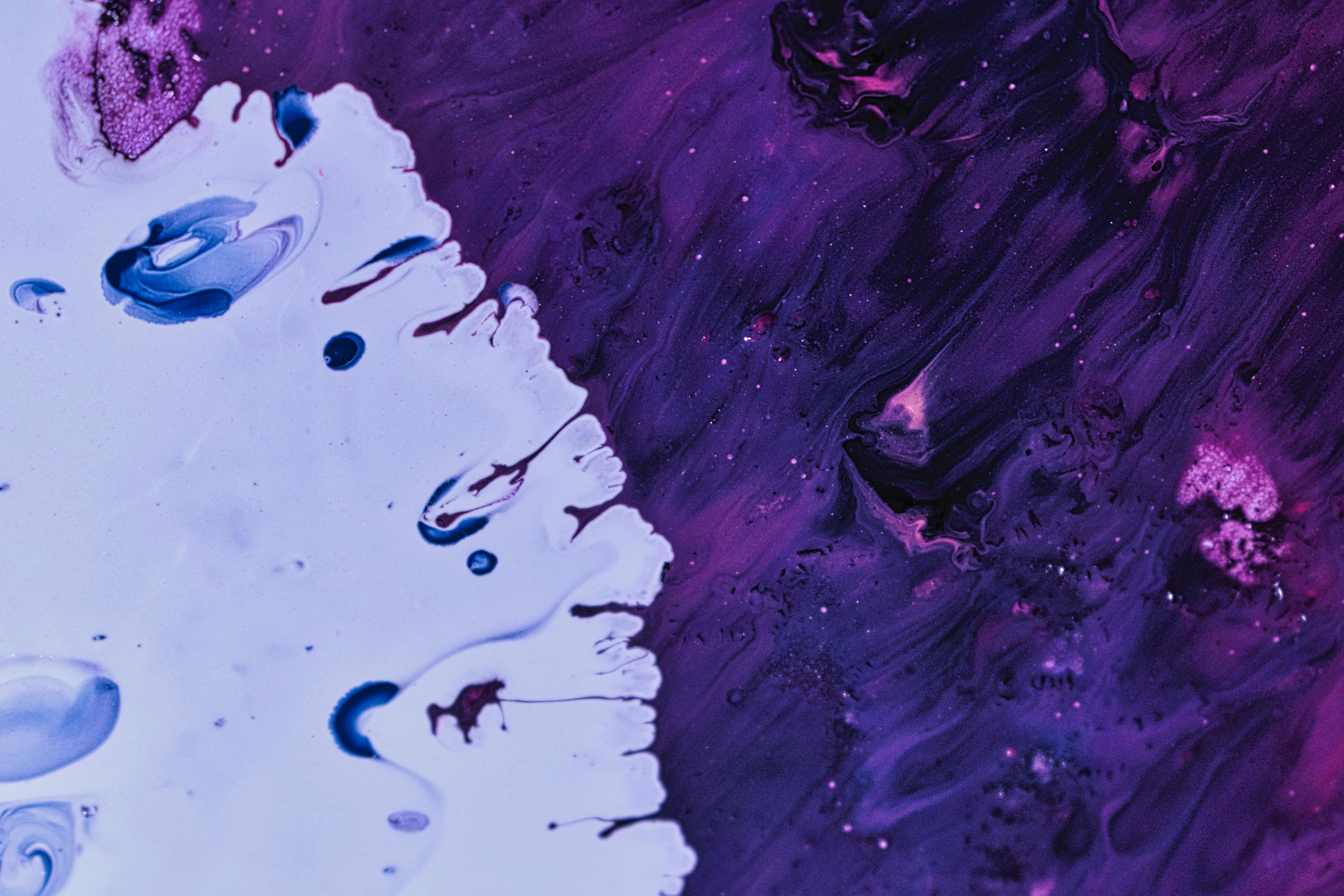 Photo of Purple and White Paint · Free Stock Photo