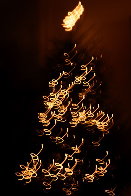 Blurred lights forming artistic patterns on a Christmas tree.