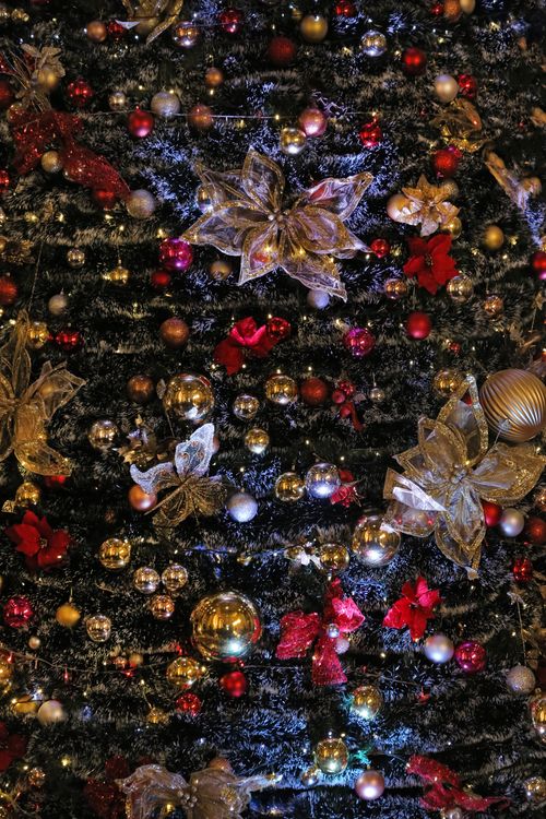 Free A beautifully decorated Christmas tree with bows, ornaments, and twinkling lights, capturing festive spirit. Stock Photo